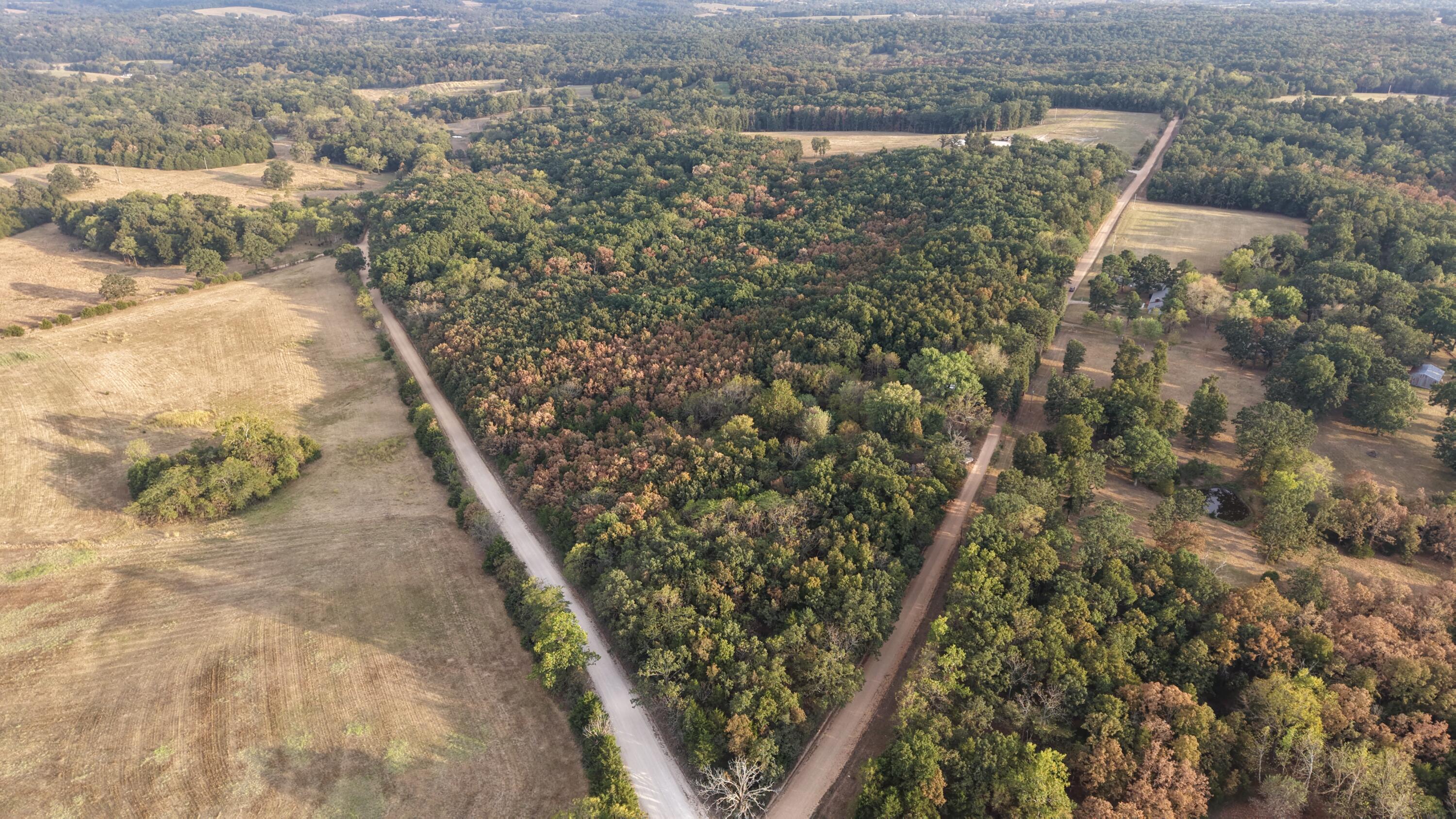 Photo 38 - Land for sale – 4134  Hatfield Road  Norwood, MO