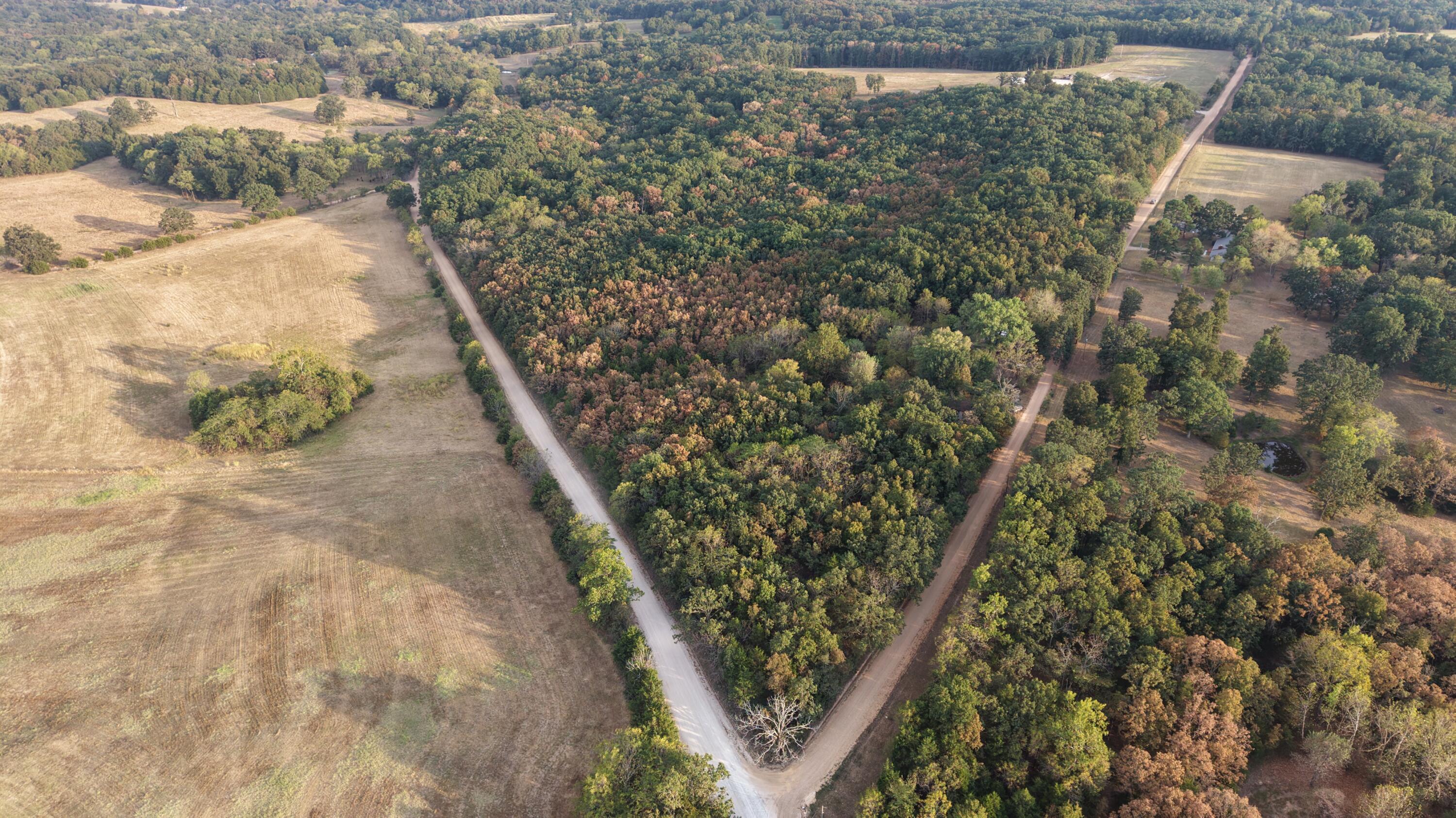 Photo 39 - Land for sale – 4134  Hatfield Road  Norwood, MO