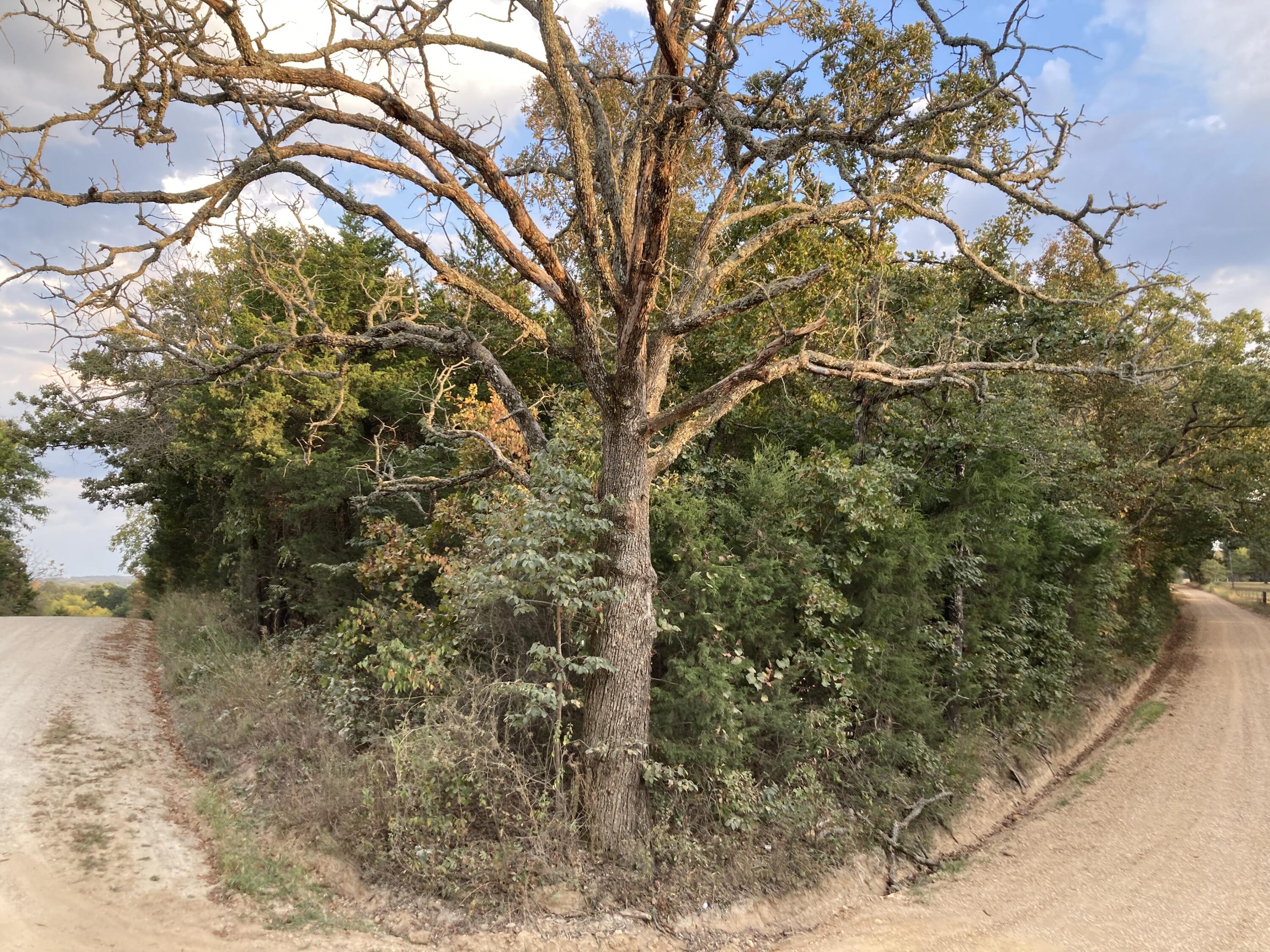 Photo 27 - Land for sale – 4134  Hatfield Road  Norwood, MO