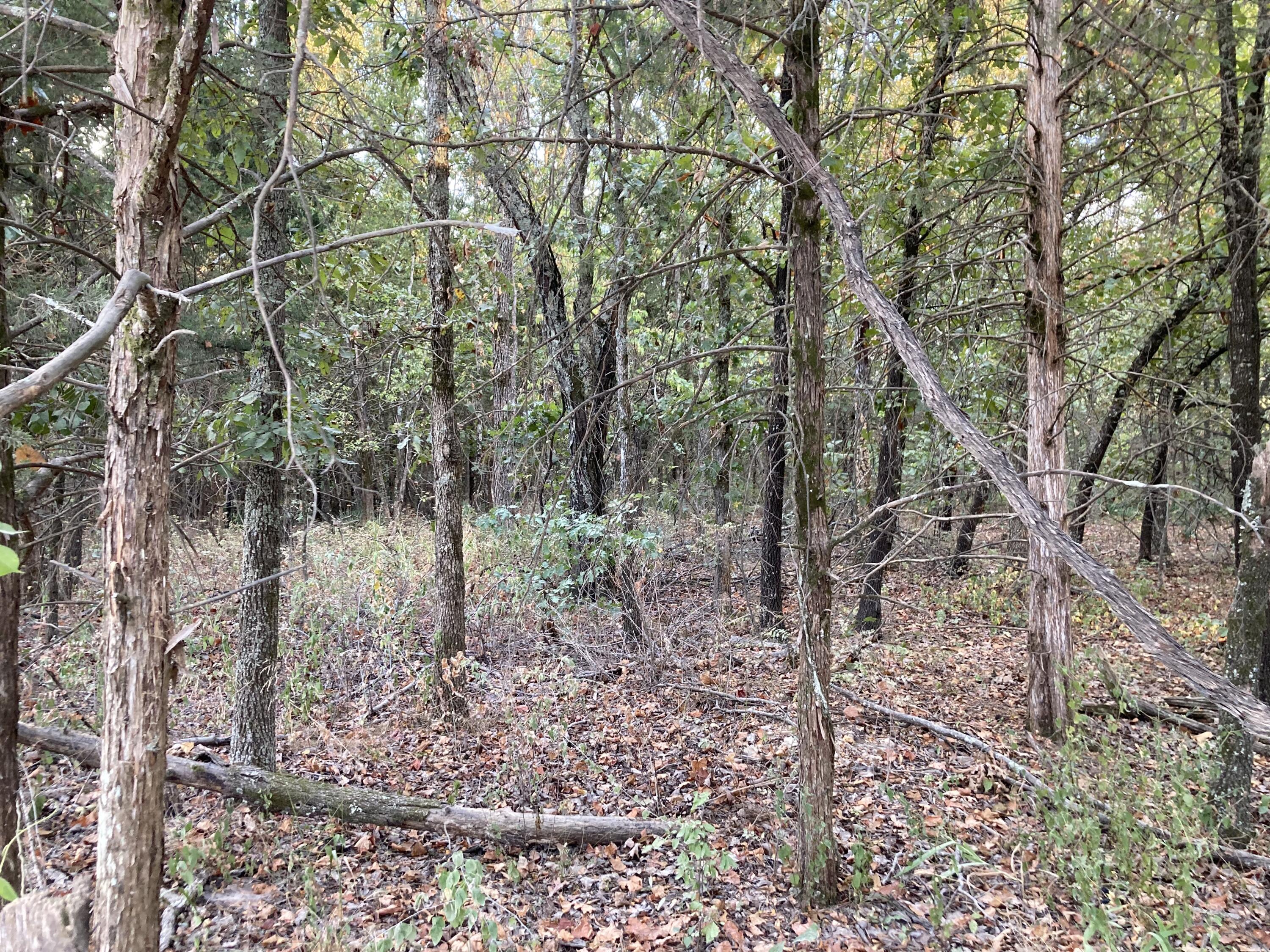 Photo 26 - Land for sale – 4134  Hatfield Road  Norwood, MO