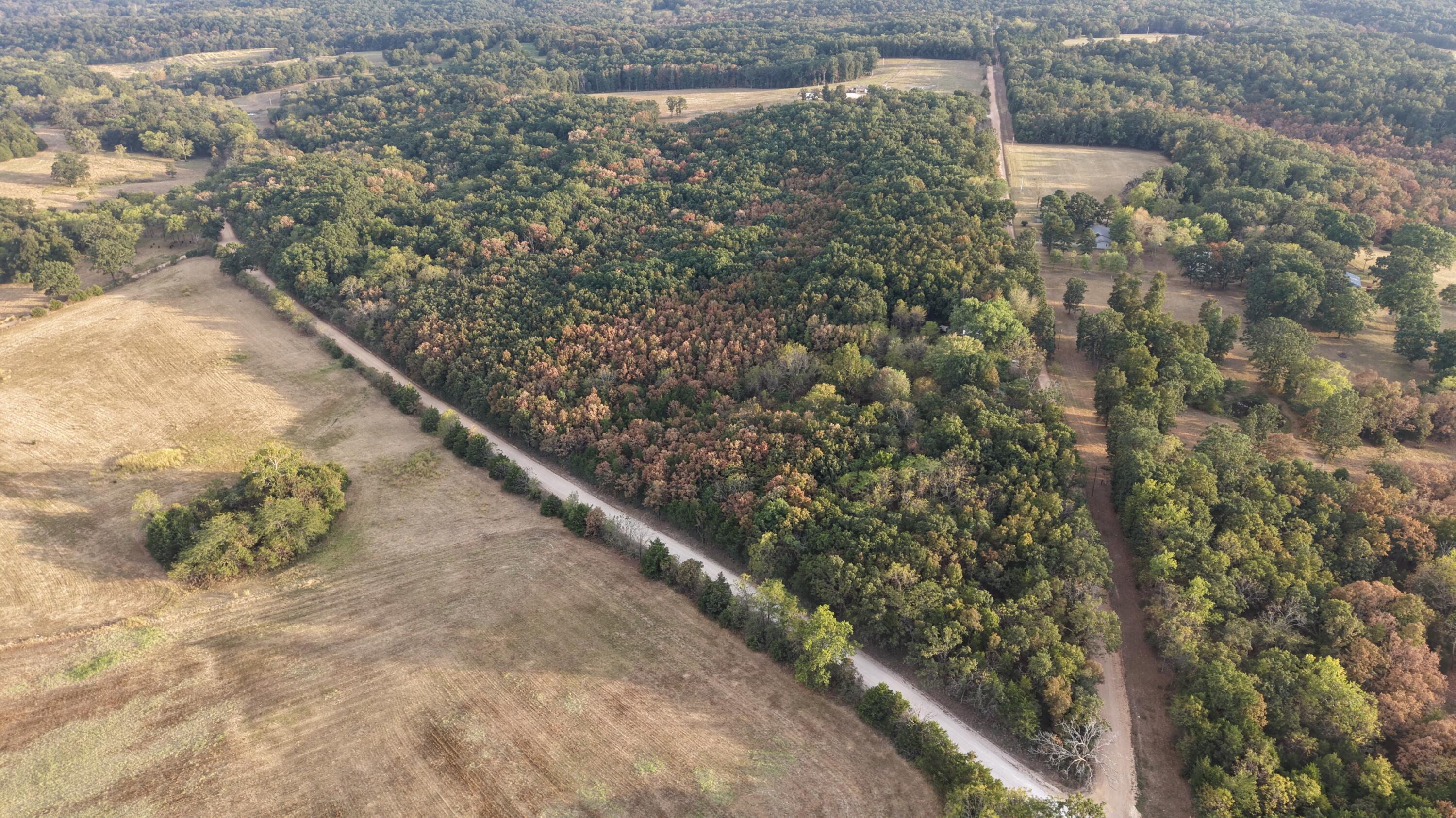 Photo 37 - Land for sale – 4134  Hatfield Road  Norwood, MO