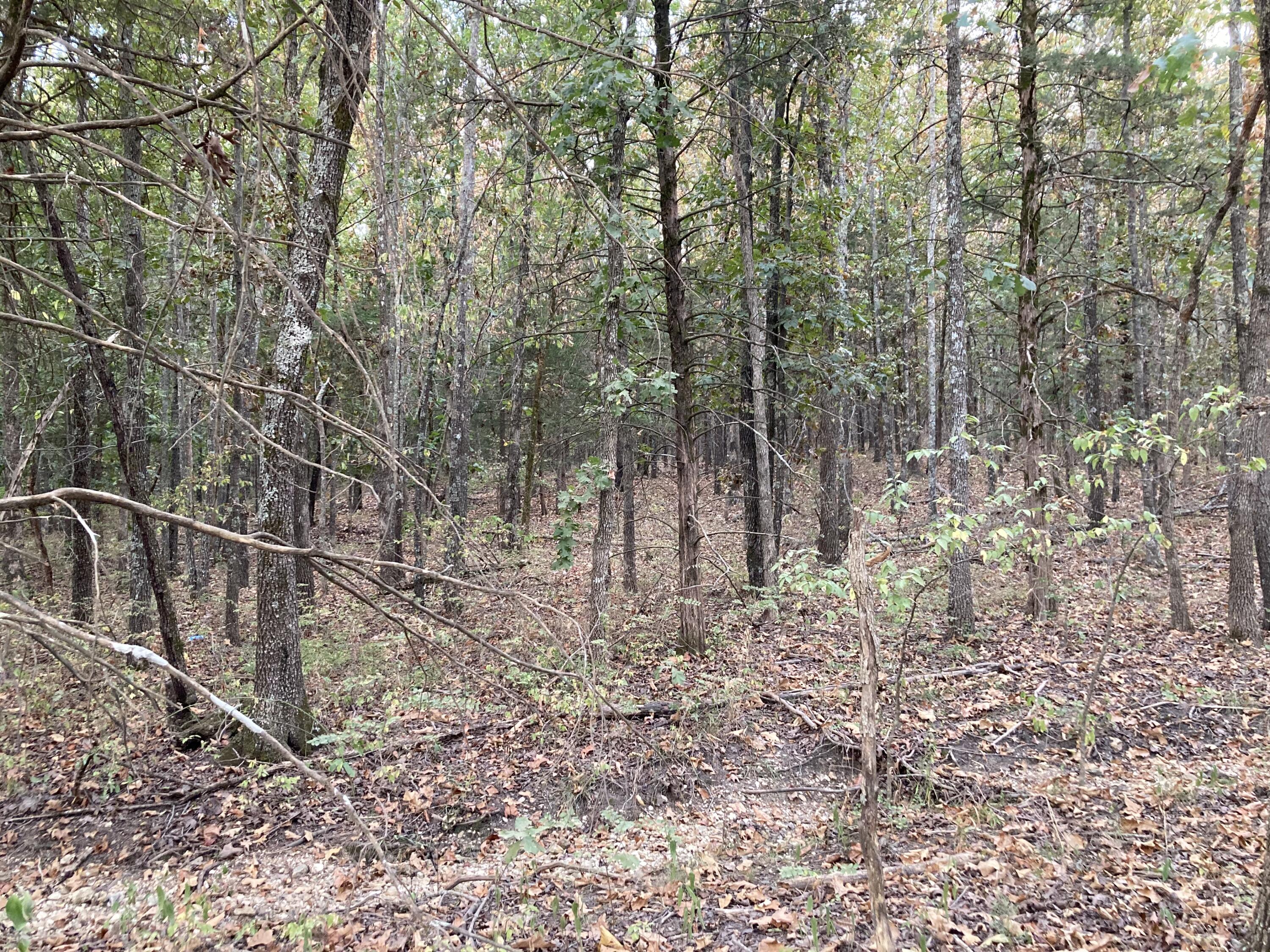 Photo 24 - Land for sale – 4134  Hatfield Road  Norwood, MO