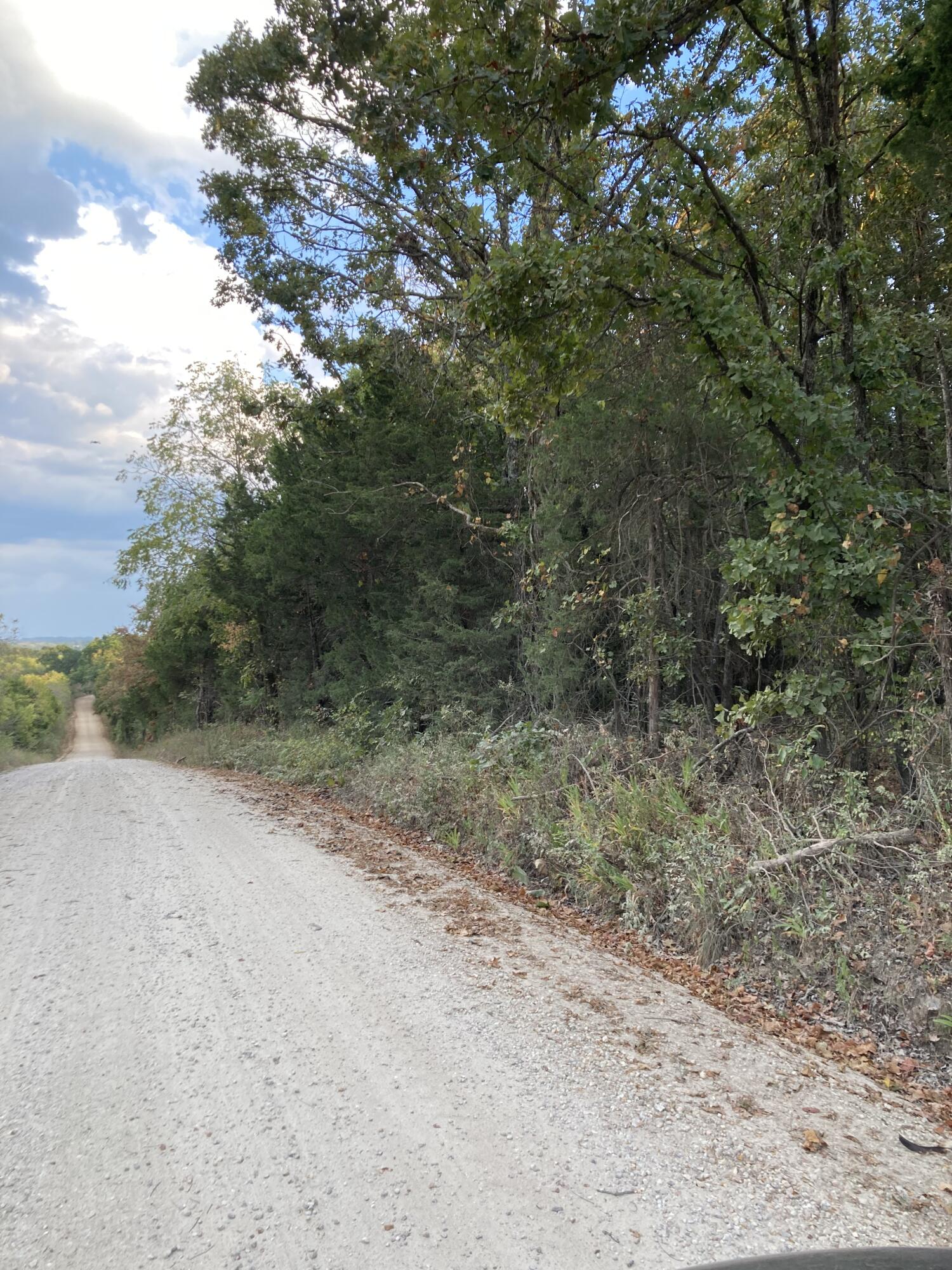 Photo 17 - Land for sale – 4134  Hatfield Road  Norwood, MO