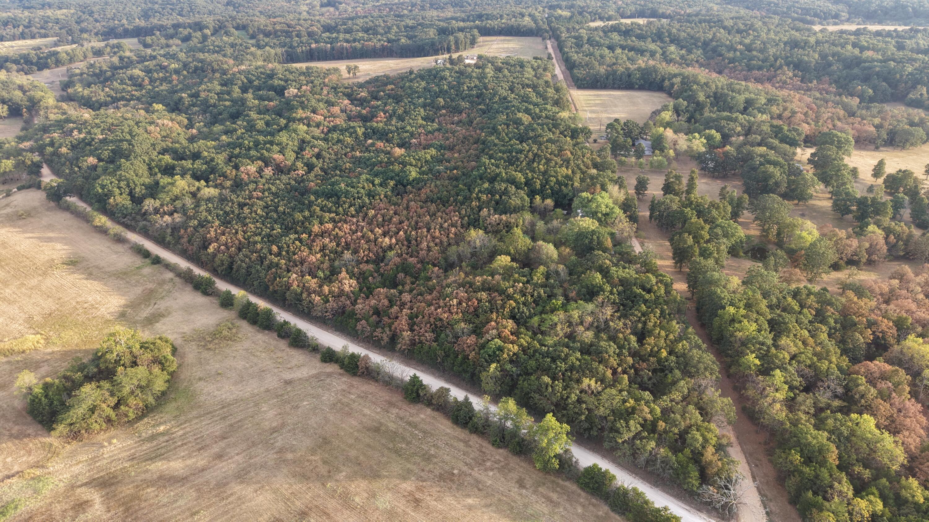 Photo 36 - Land for sale – 4134  Hatfield Road  Norwood, MO