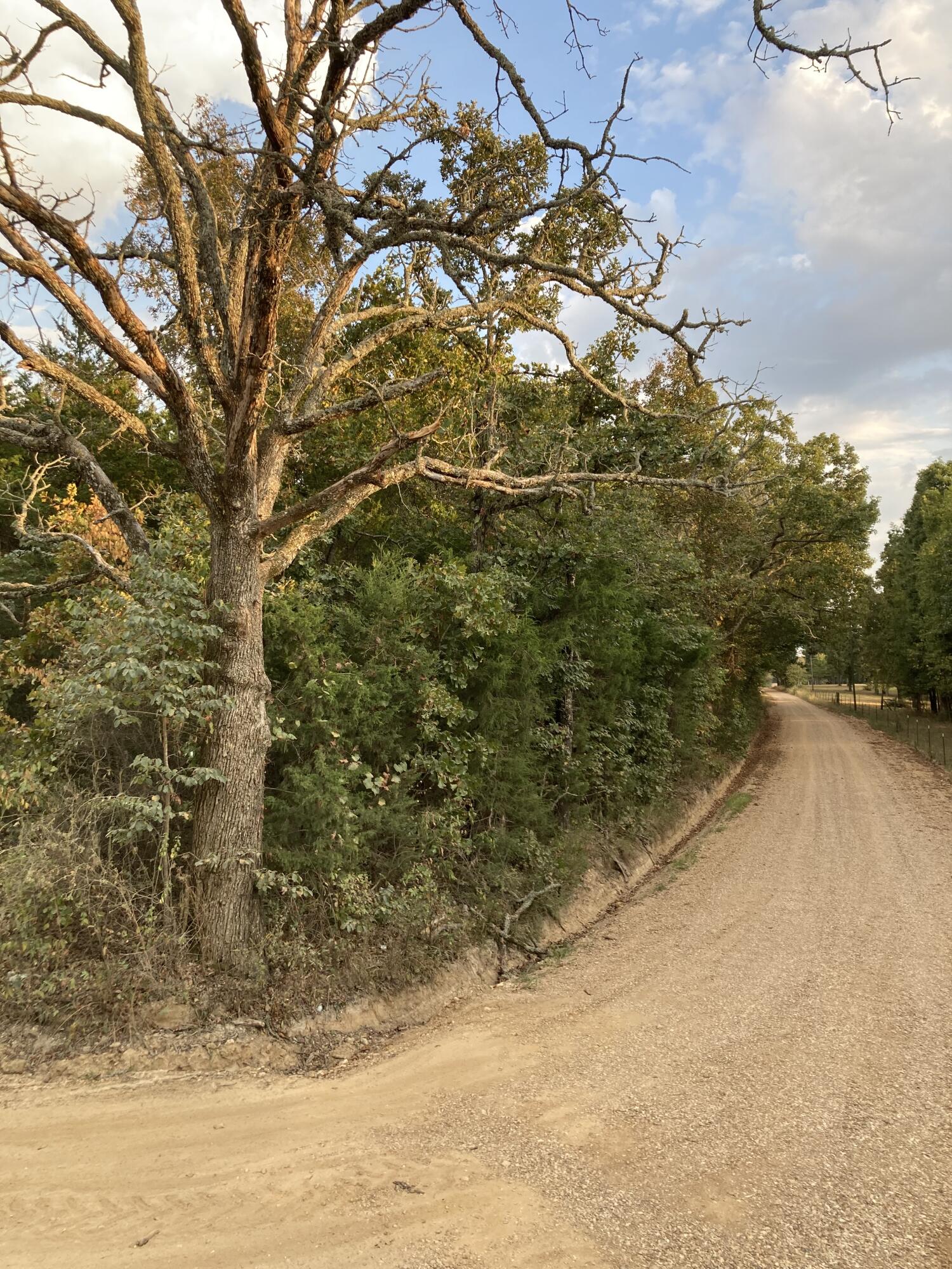 Photo 15 - Land for sale – 4134  Hatfield Road  Norwood, MO