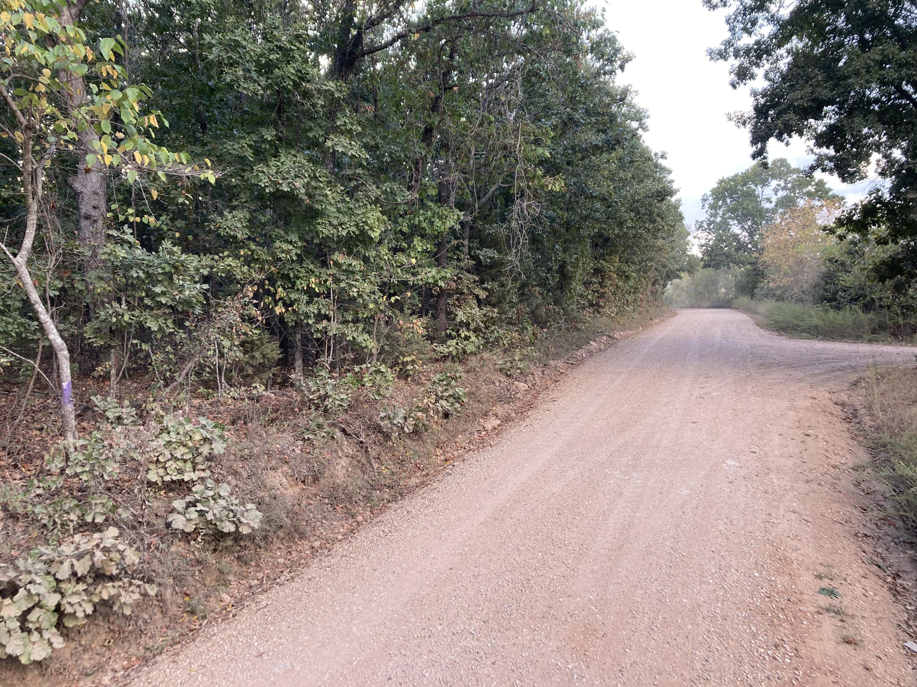 Photo 23 - Land for sale – 4134  Hatfield Road  Norwood, MO