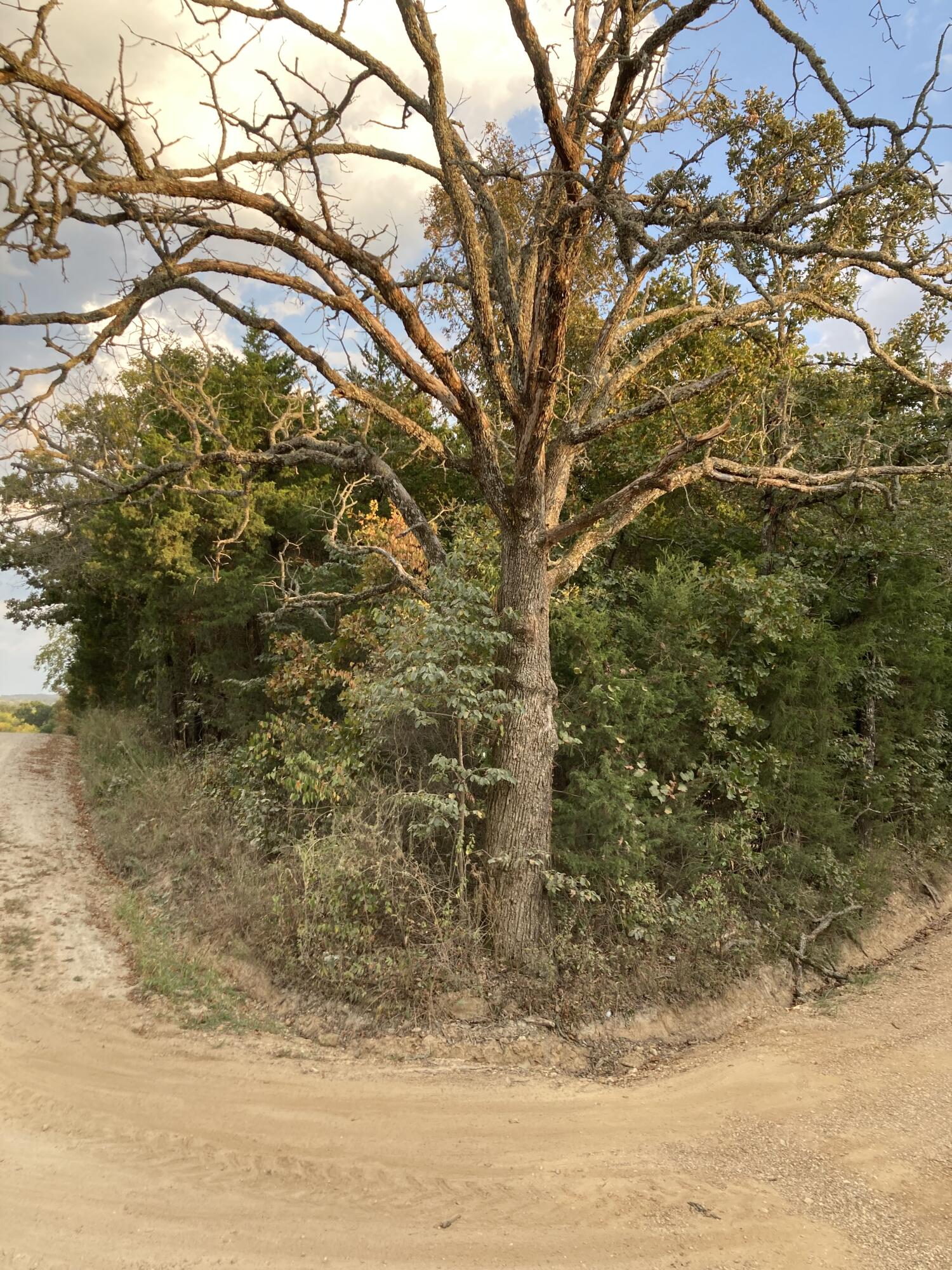 Photo 14 - Land for sale – 4134  Hatfield Road  Norwood, MO