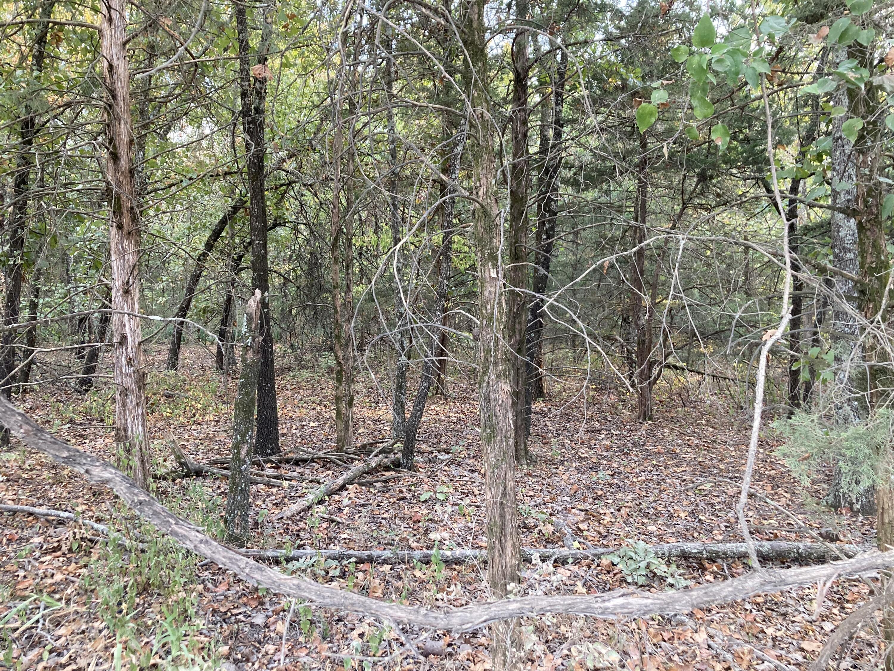 Photo 25 - Land for sale – 4134  Hatfield Road  Norwood, MO