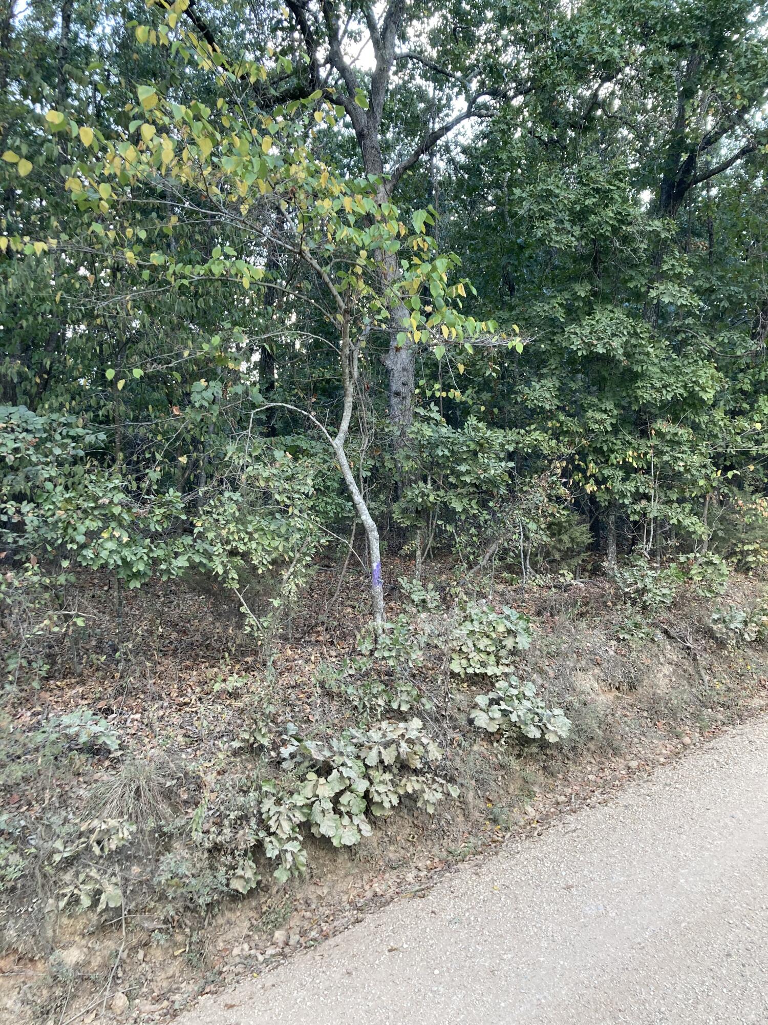 Photo 20 - Land for sale – 4134  Hatfield Road  Norwood, MO