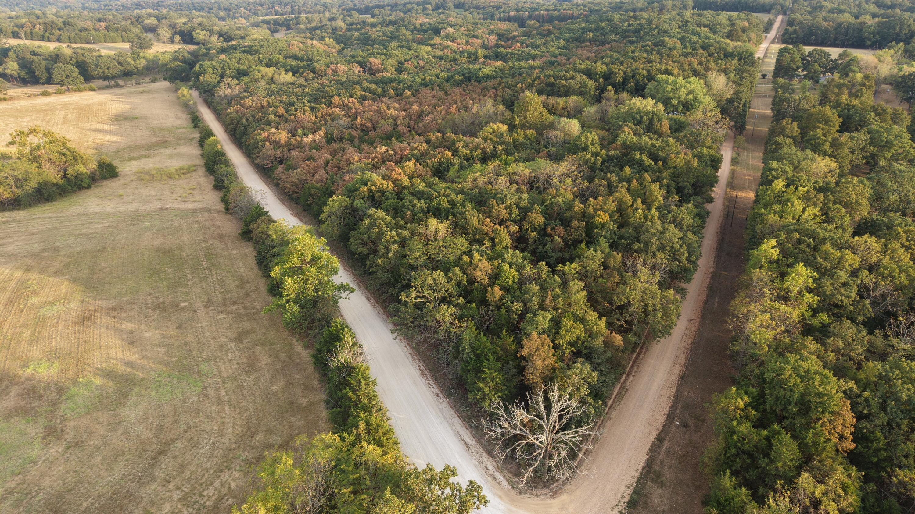 Photo 28 - Land for sale – 4134  Hatfield Road  Norwood, MO