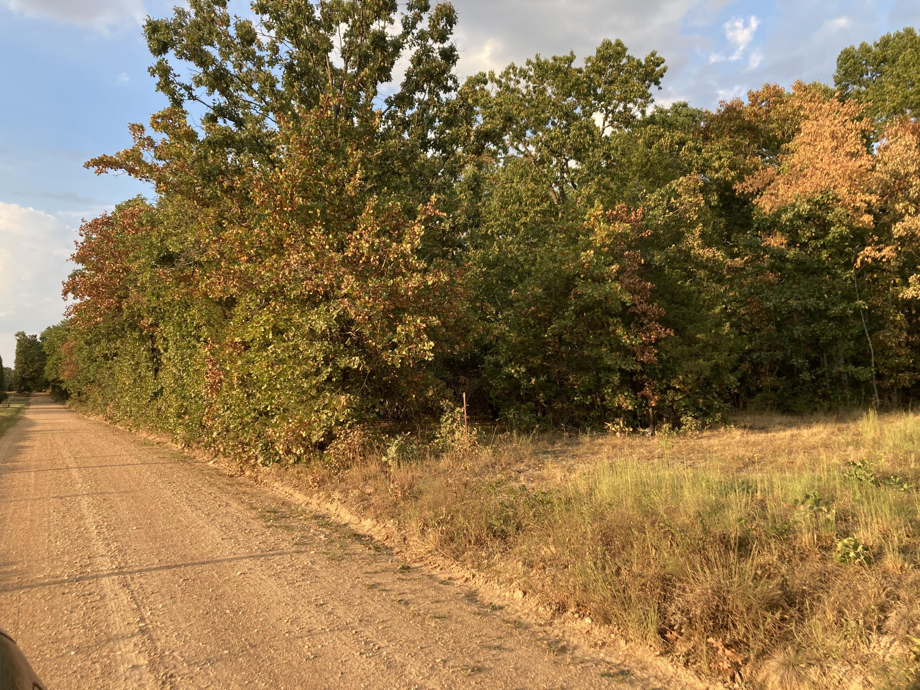 Photo 3 - Land for sale – 4134  Hatfield Road  Norwood, MO