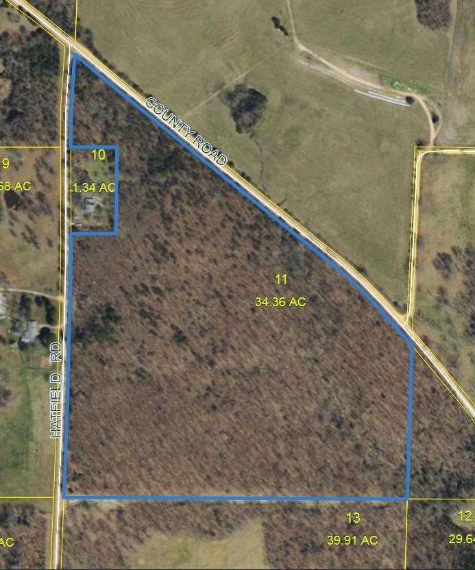 Photo 45 - Land for sale – 4134  Hatfield Road  Norwood, MO