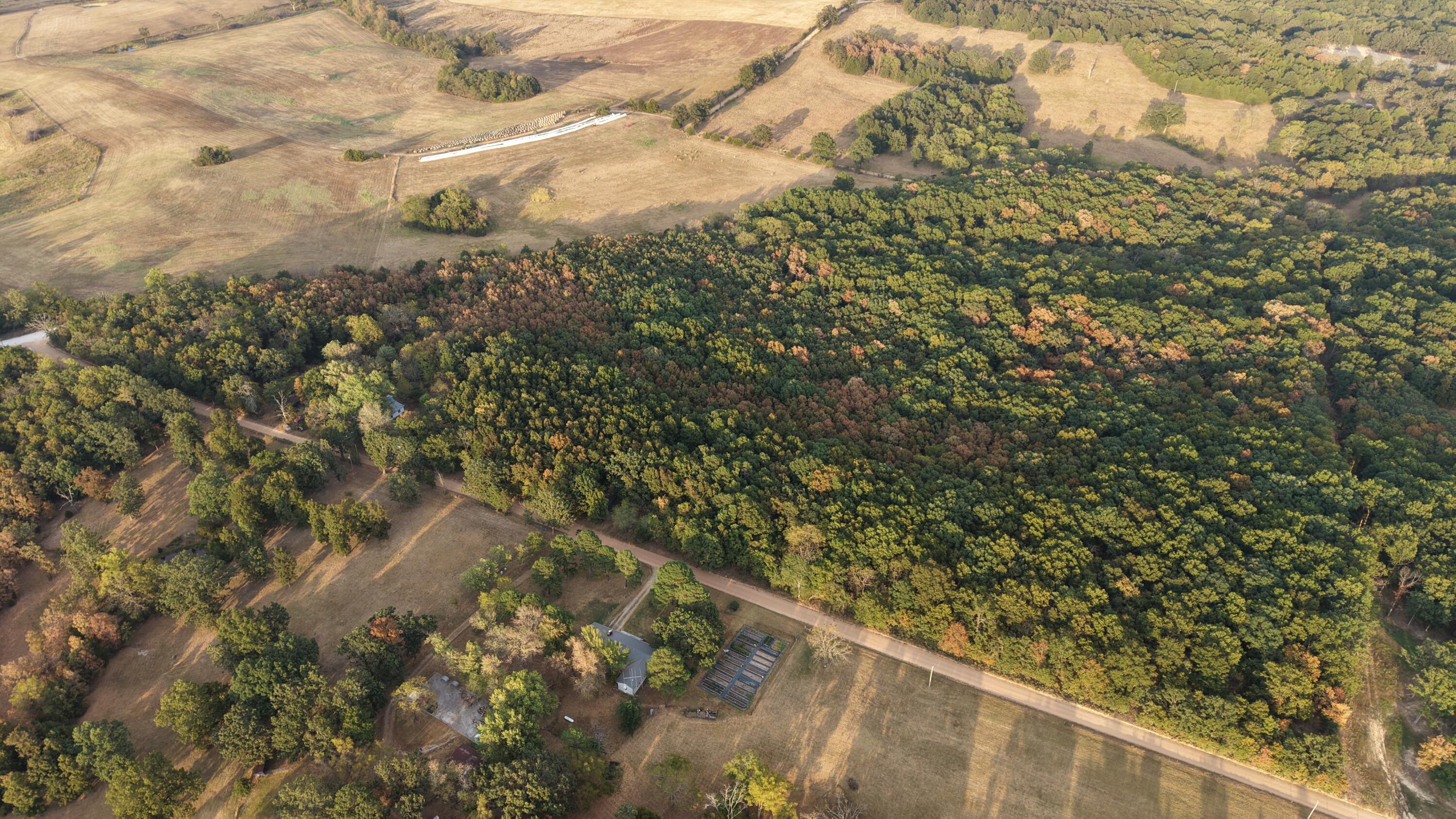 Photo 31 - Land for sale – 4134  Hatfield Road  Norwood, MO