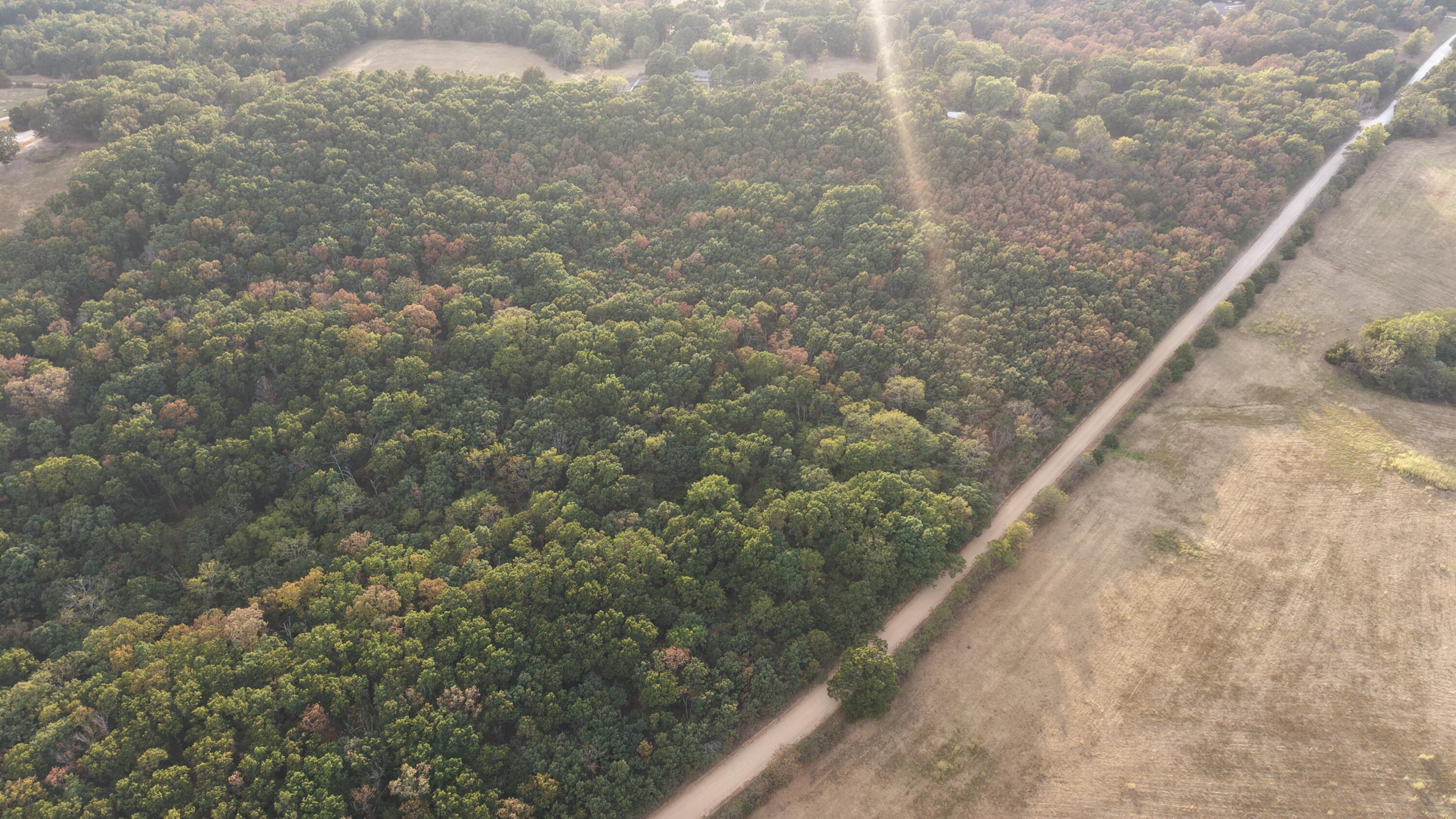 Photo 35 - Land for sale – 4134  Hatfield Road  Norwood, MO