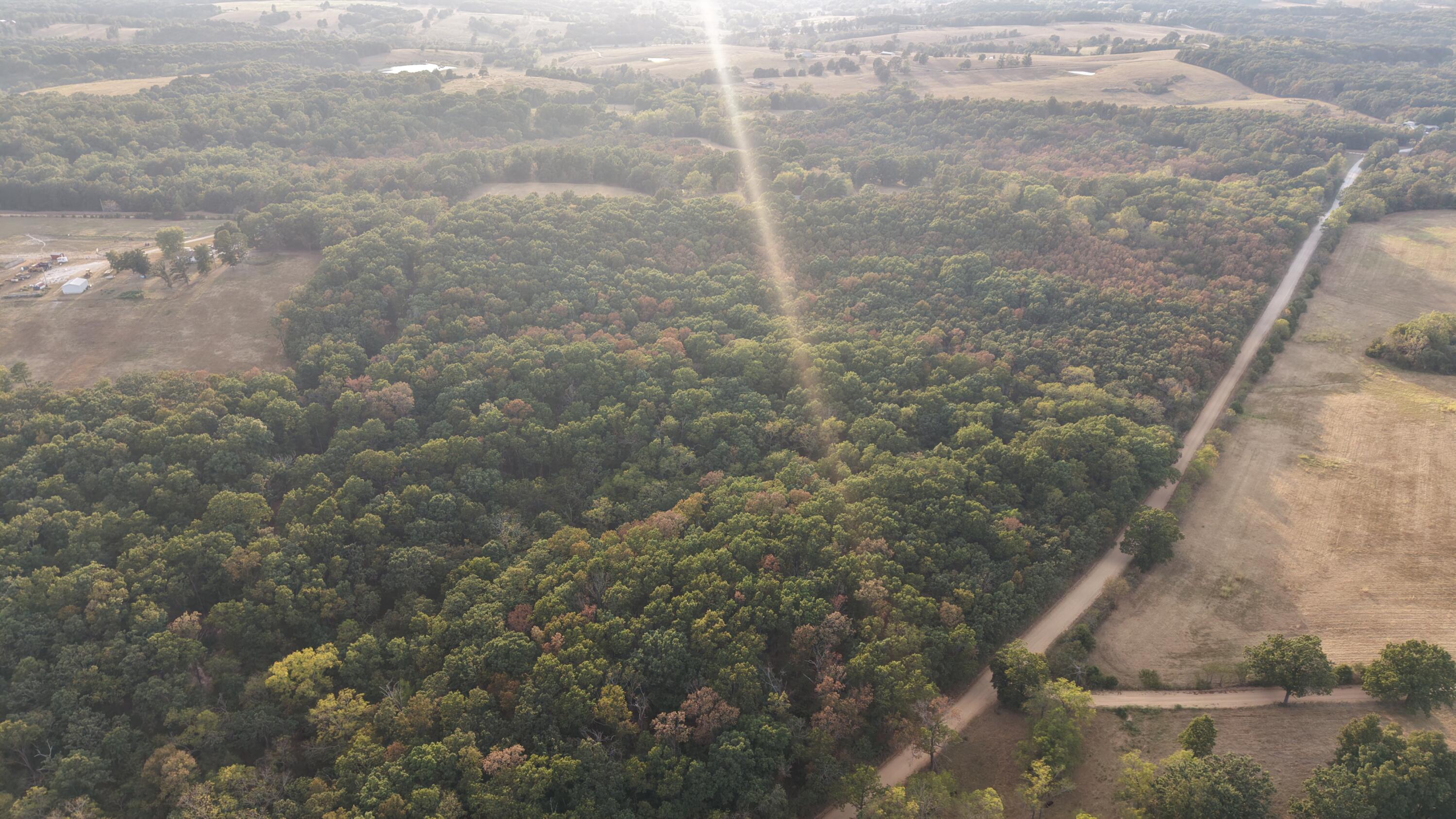 Photo 43 - Land for sale – 4134  Hatfield Road  Norwood, MO