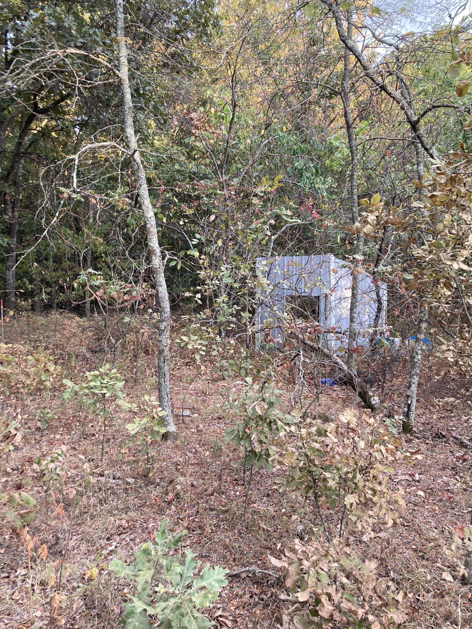 Photo 6 - Land for sale – 4134  Hatfield Road  Norwood, MO