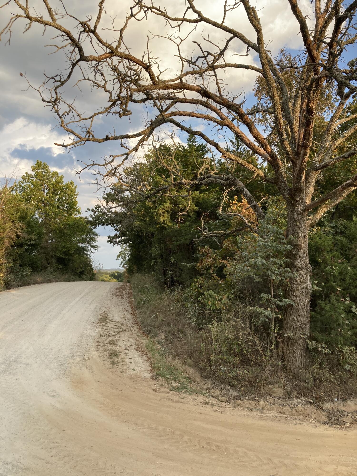 Photo 16 - Land for sale – 4134  Hatfield Road  Norwood, MO