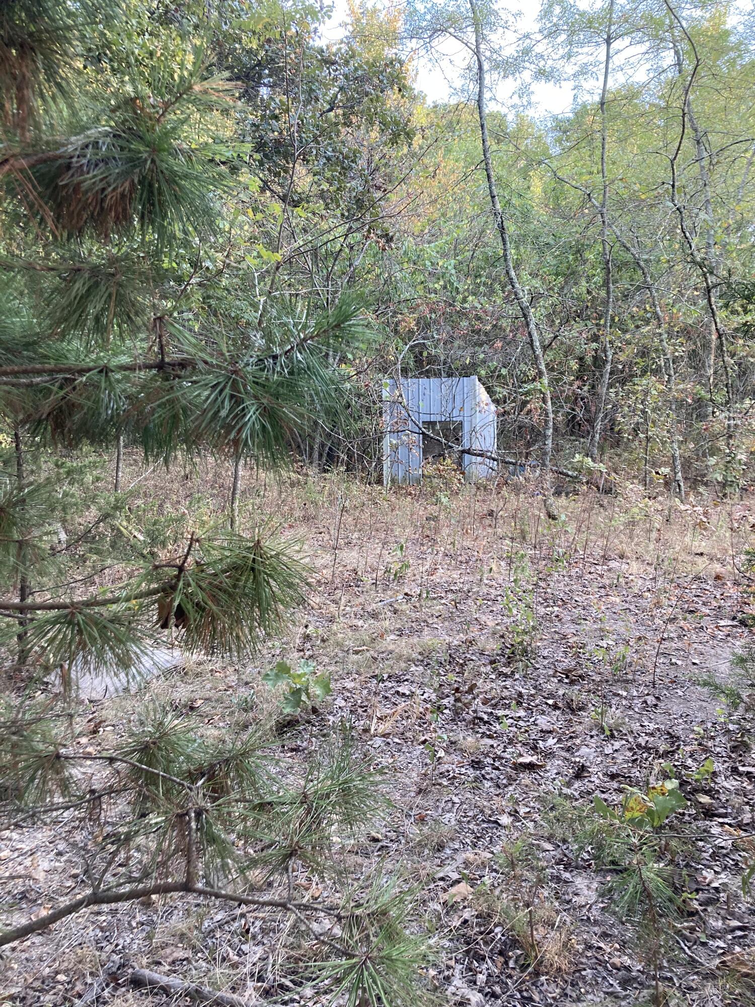 Photo 5 - Land for sale – 4134  Hatfield Road  Norwood, MO