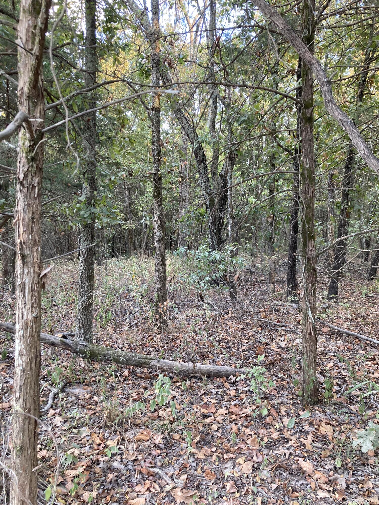 Photo 18 - Land for sale – 4134  Hatfield Road  Norwood, MO