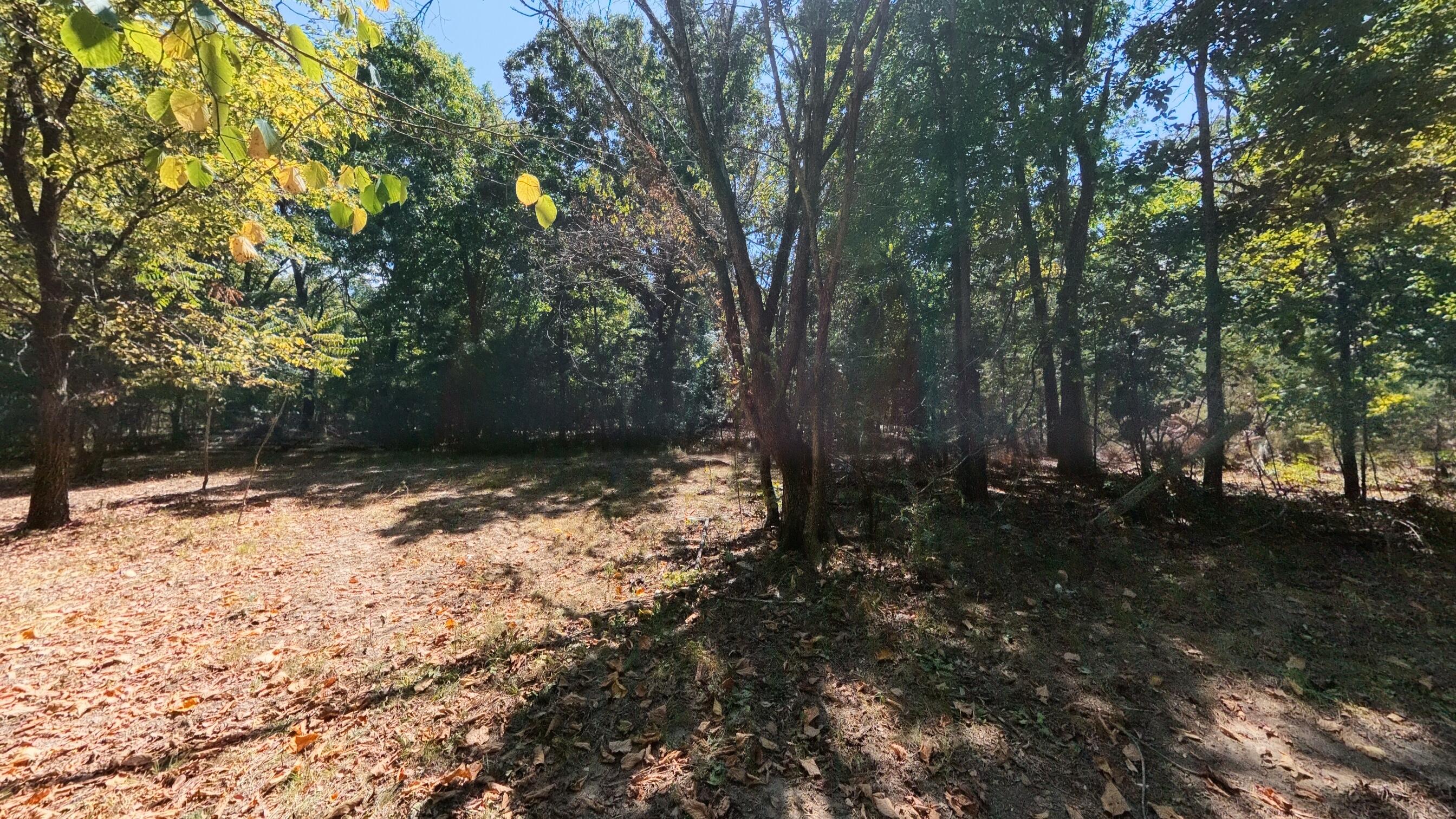 Photo 40 - Residential for sale – 98  County Road 867   Isabella, MO