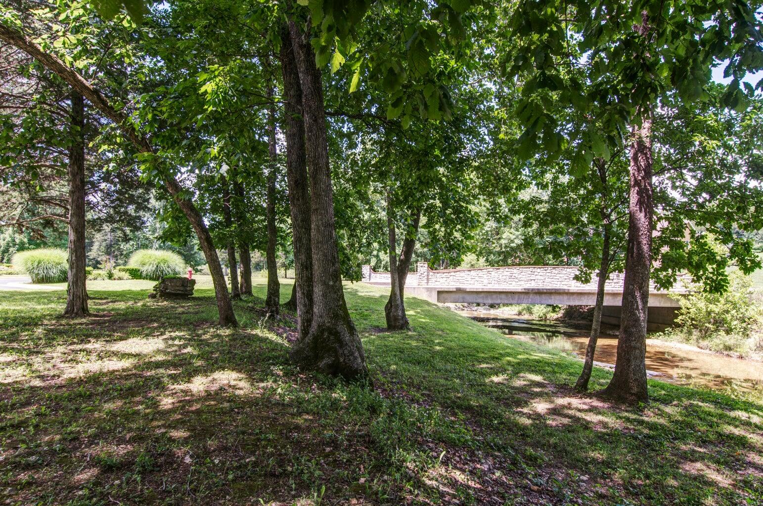 Photo 4 - Land for sale – 149  Appaloosa Trail  Saddlebrooke, MO