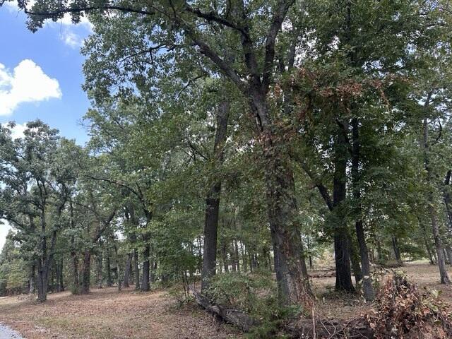Photo 5 - Commercial Sale for sale – 4204  County Lane 118   Carthage, MO