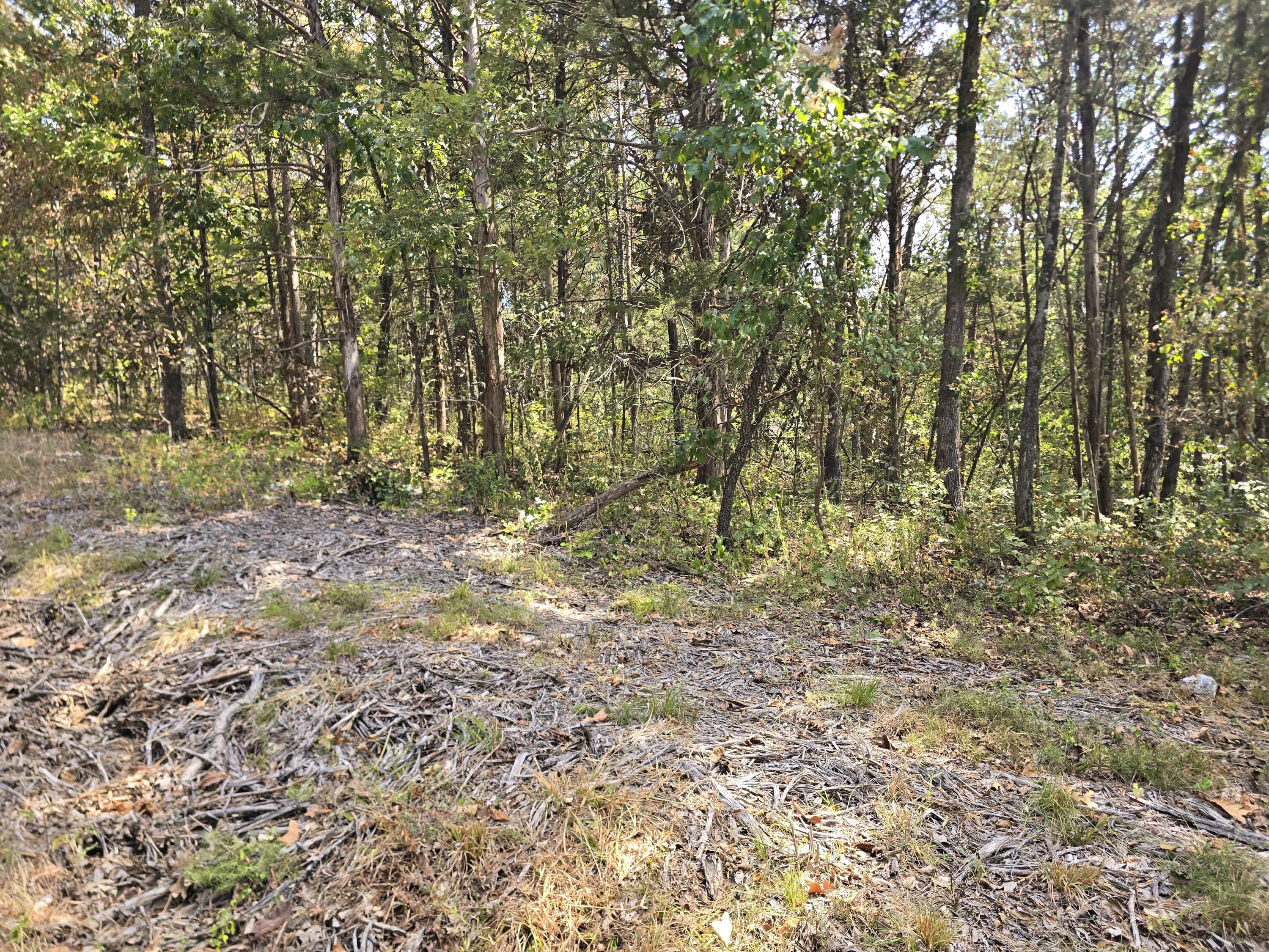 Photo 2 - Land for sale – 21762  Ash Street  Pittsburg, MO