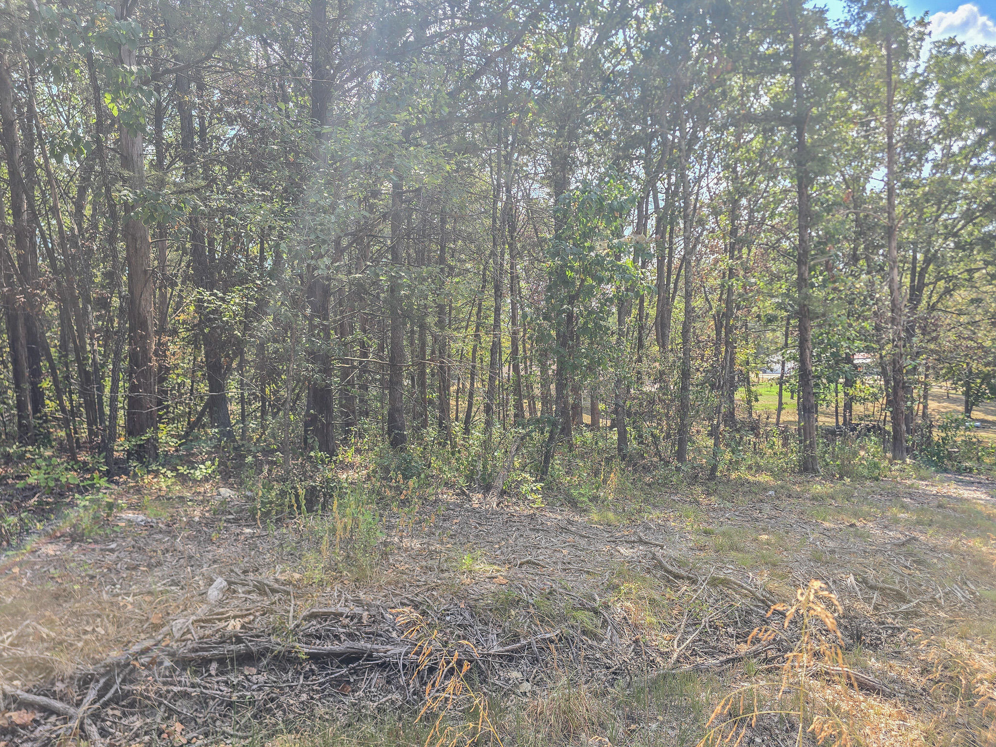Land for sale – 21762  Ash Street  Pittsburg, MO
