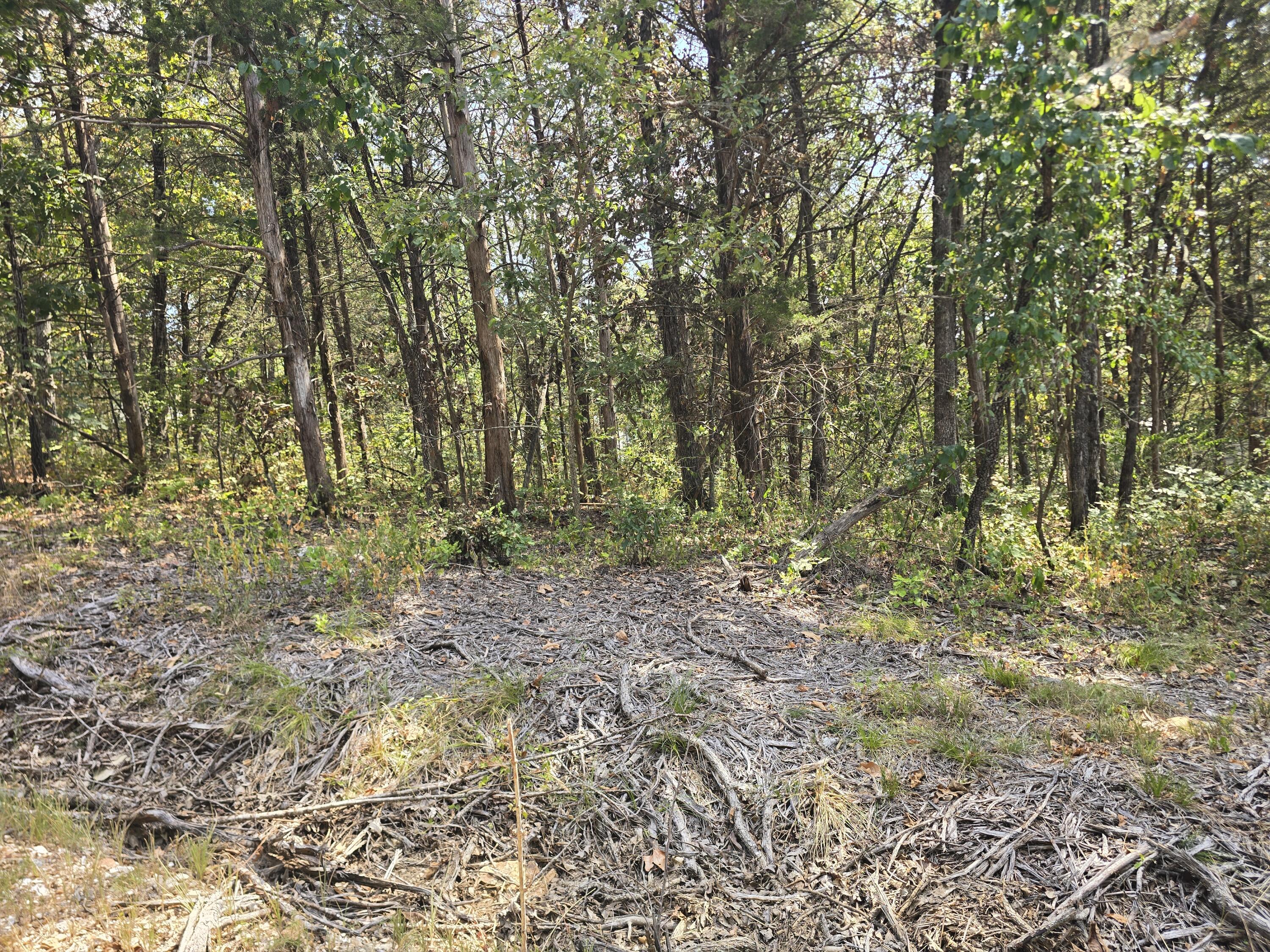 Photo 3 - Land for sale – 21762  Ash Street  Pittsburg, MO