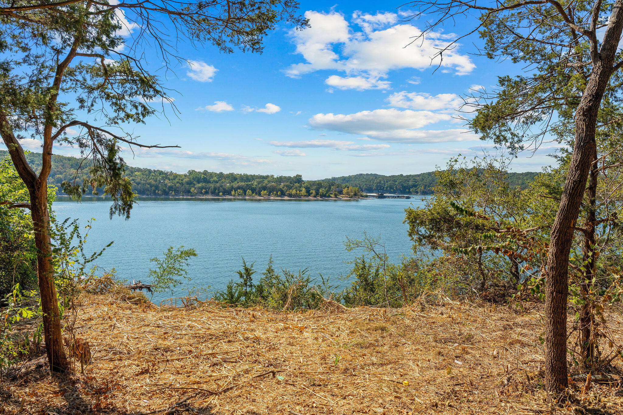 Photo 2 - Land for sale – 303  5th Avenue  Ridgedale, MO