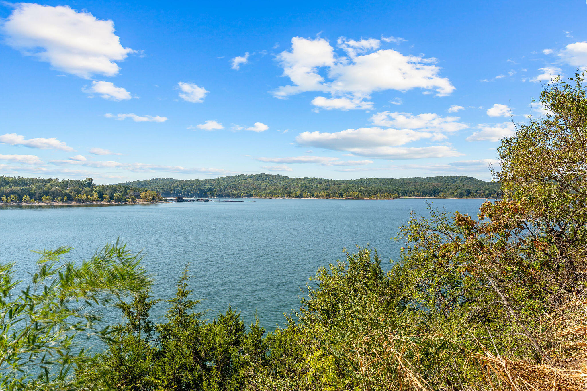 Photo 6 - Land for sale – 303  5th Avenue  Ridgedale, MO