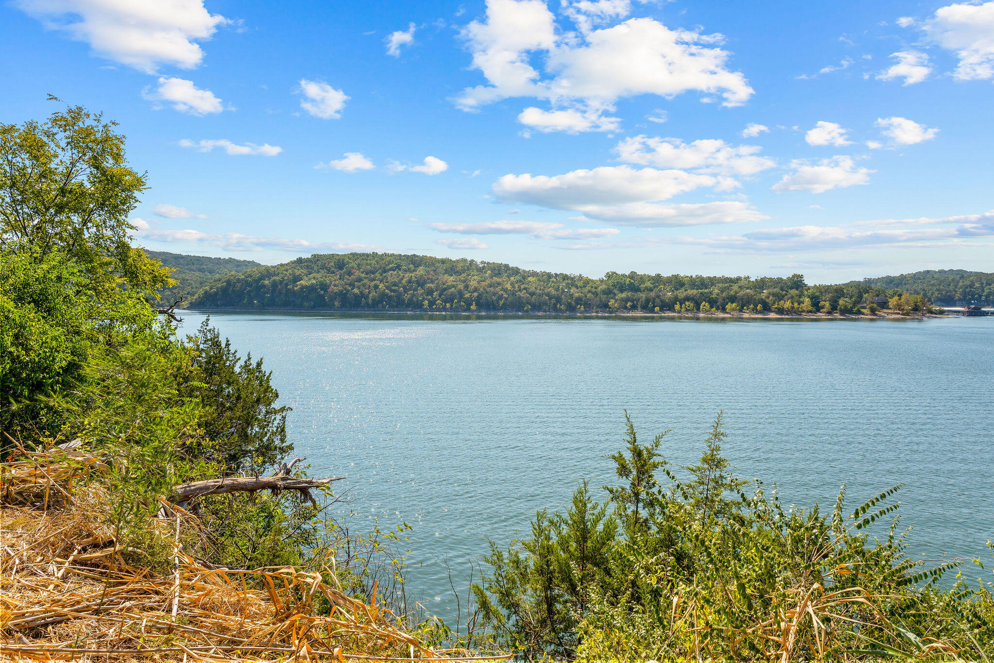 Photo 8 - Land for sale – 303  5th Avenue  Ridgedale, MO