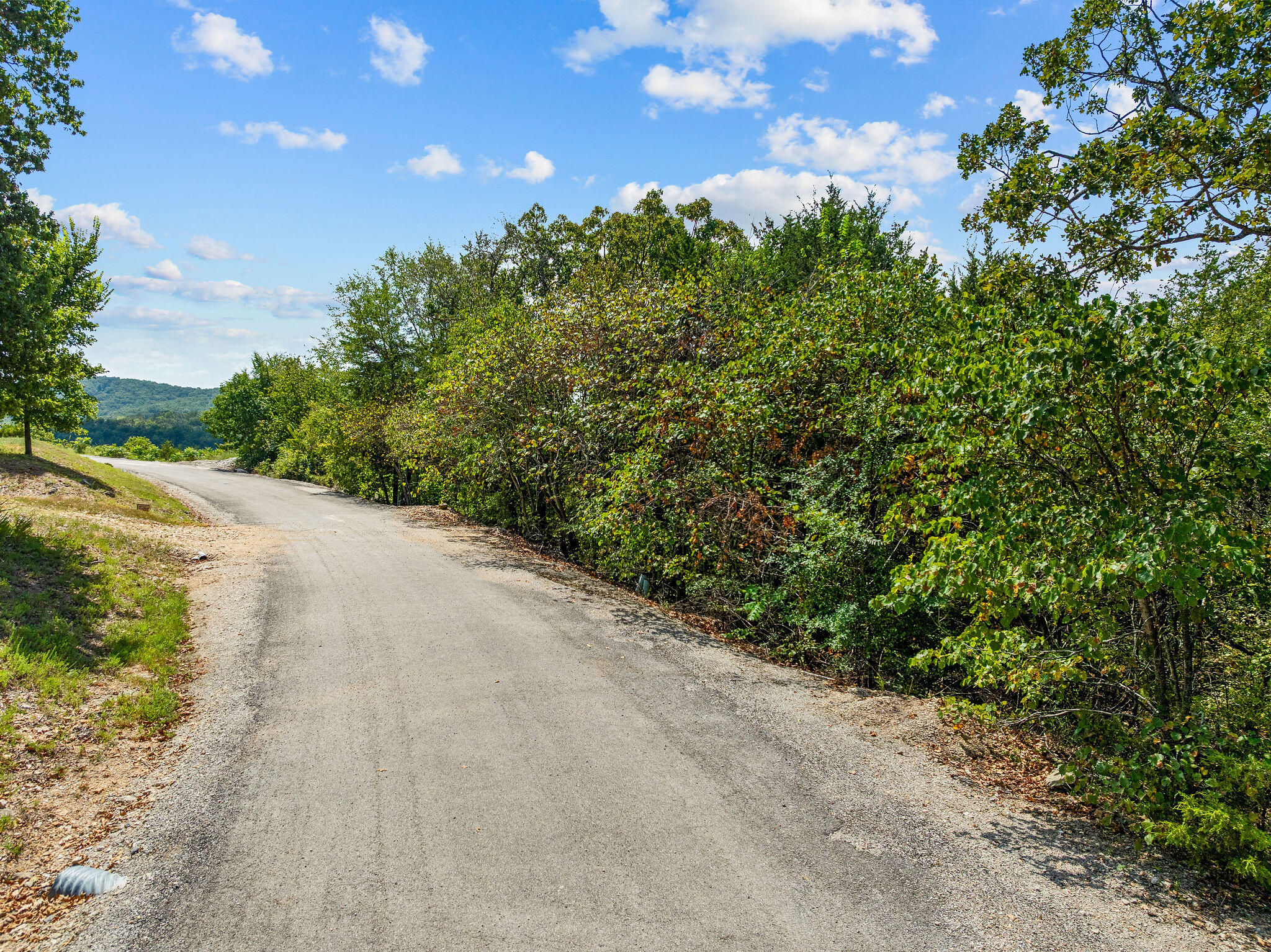 Photo 12 - Land for sale – 67  Discovery Bay Drive  Shell Knob, MO