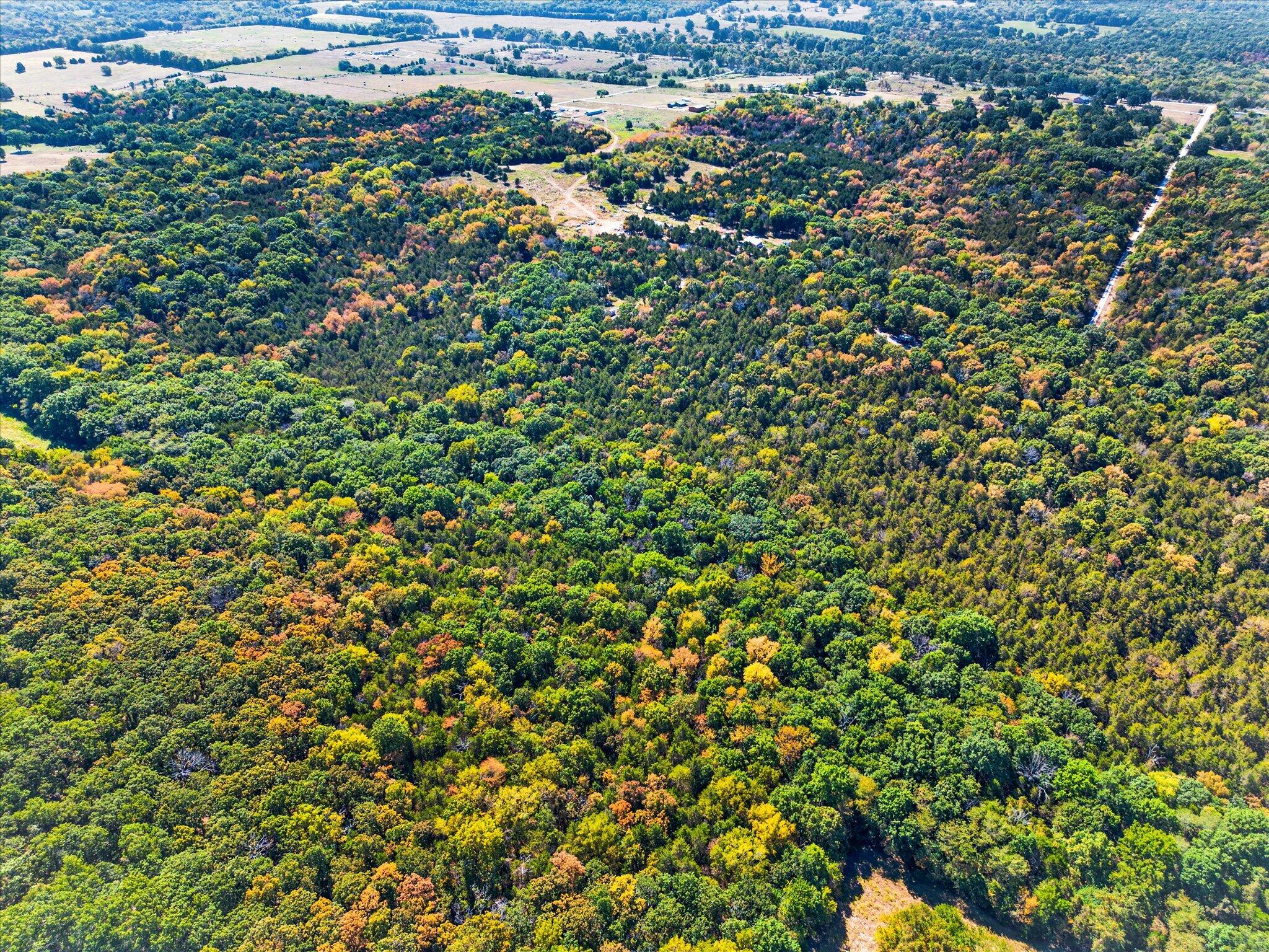 Photo 11 - Land for sale – 12455 E 1050   Stockton, MO