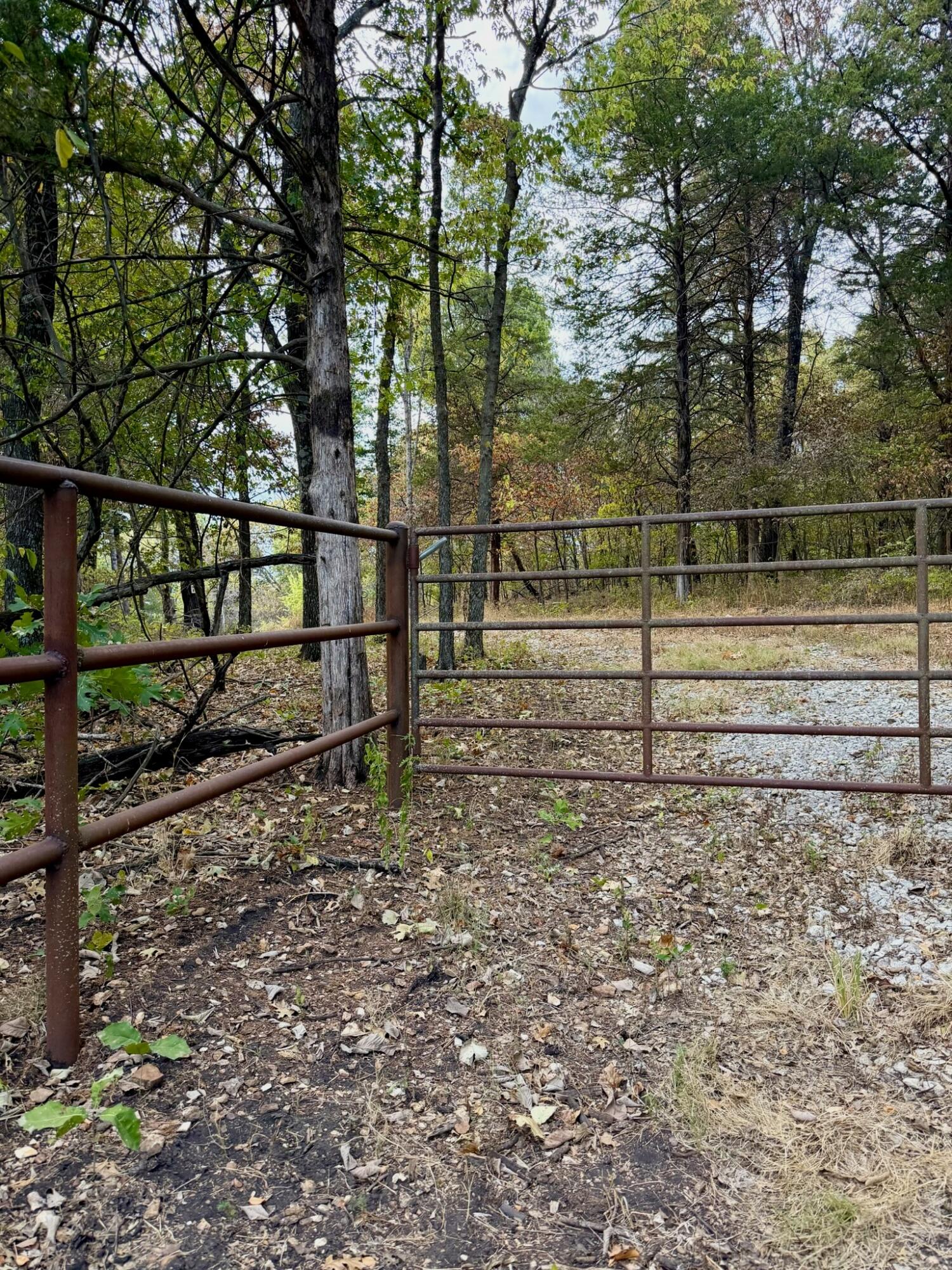 Photo 3 - Land for sale – 12455 E 1050   Stockton, MO