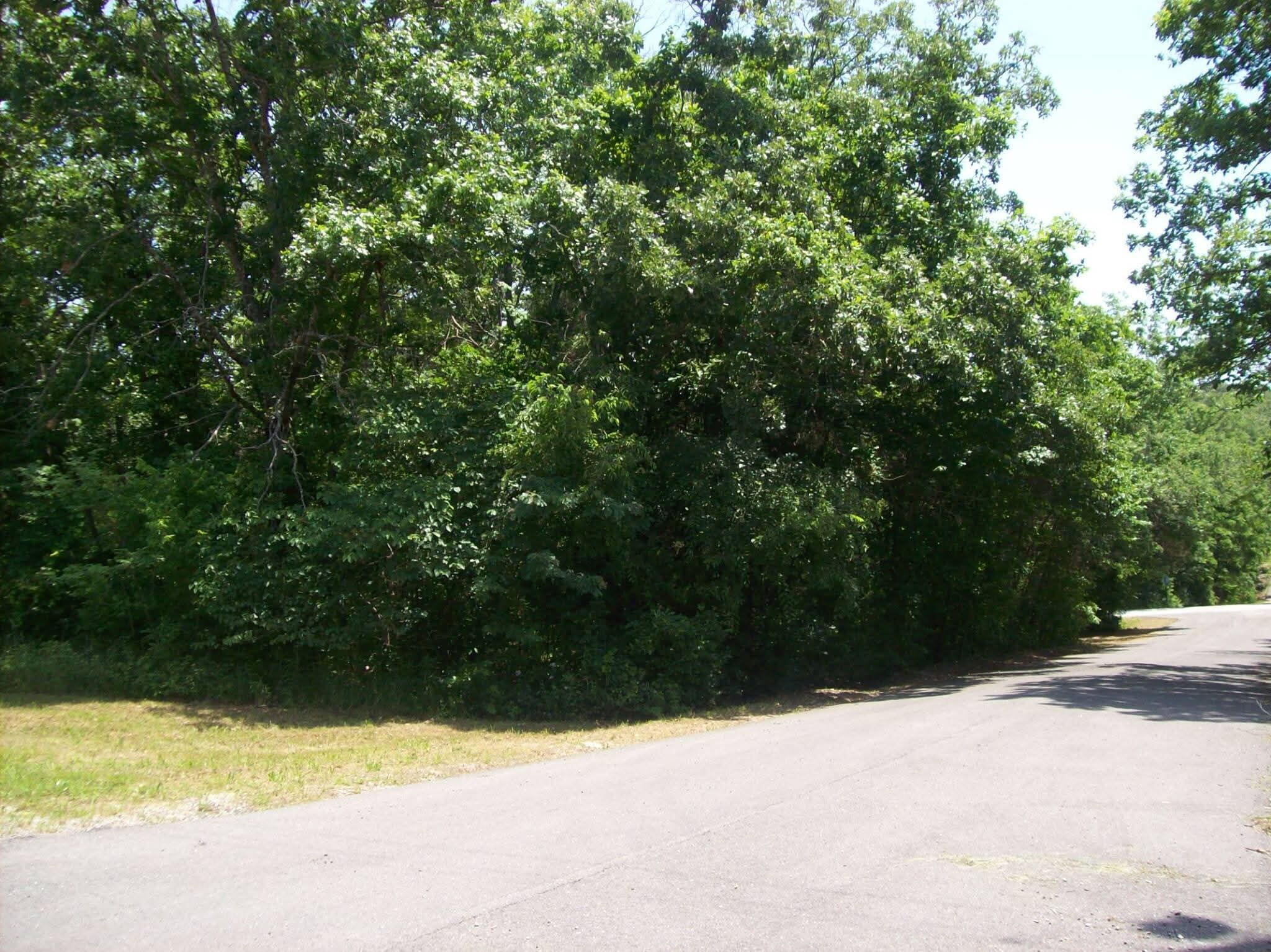 Photo 5 - Land for sale – 130, 131  Turkey Mountain Estates #2   Abesville, MO