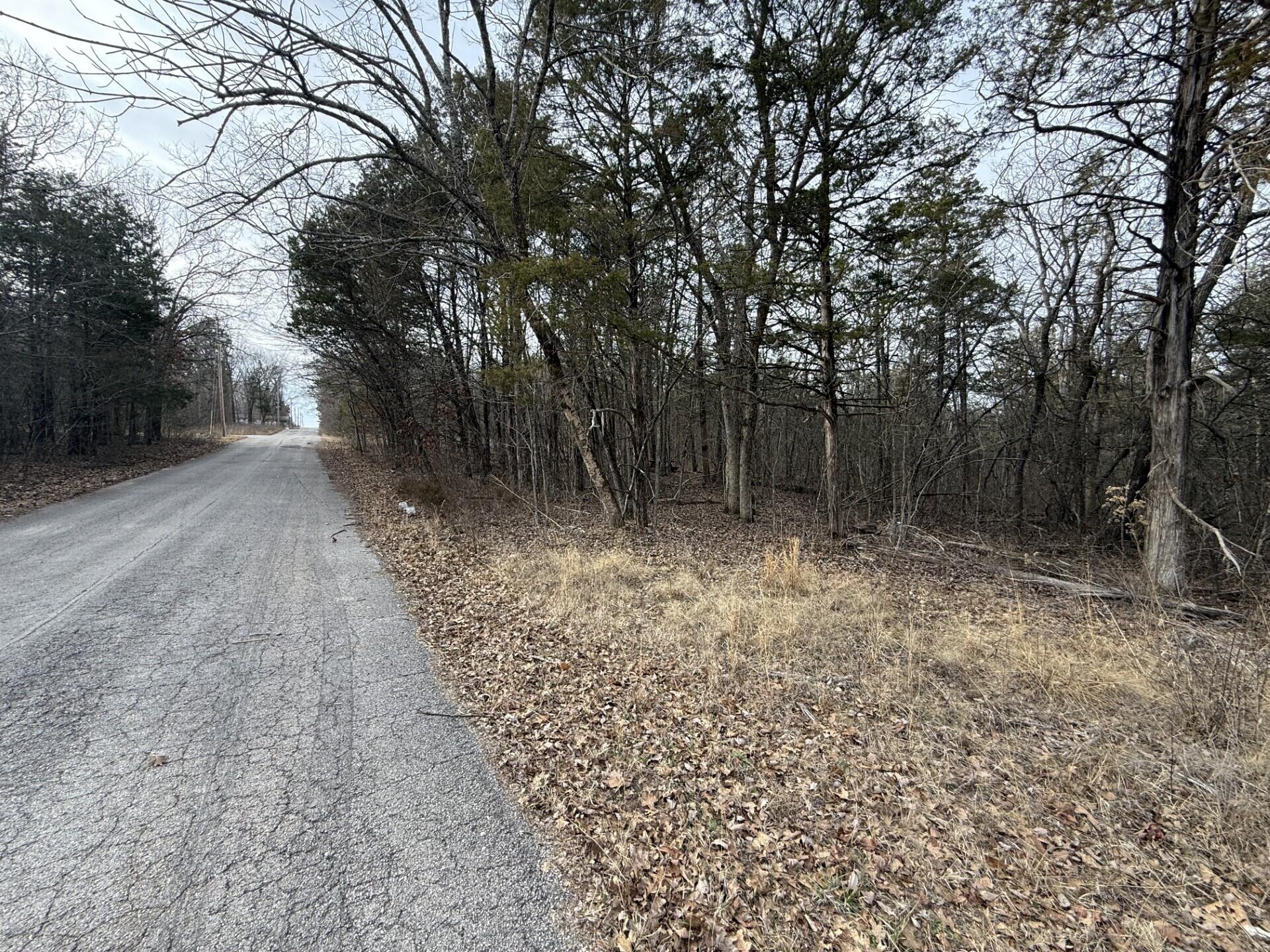Land for sale – 130, 131 Turkey Mountain Estates #2 Abesville, MO