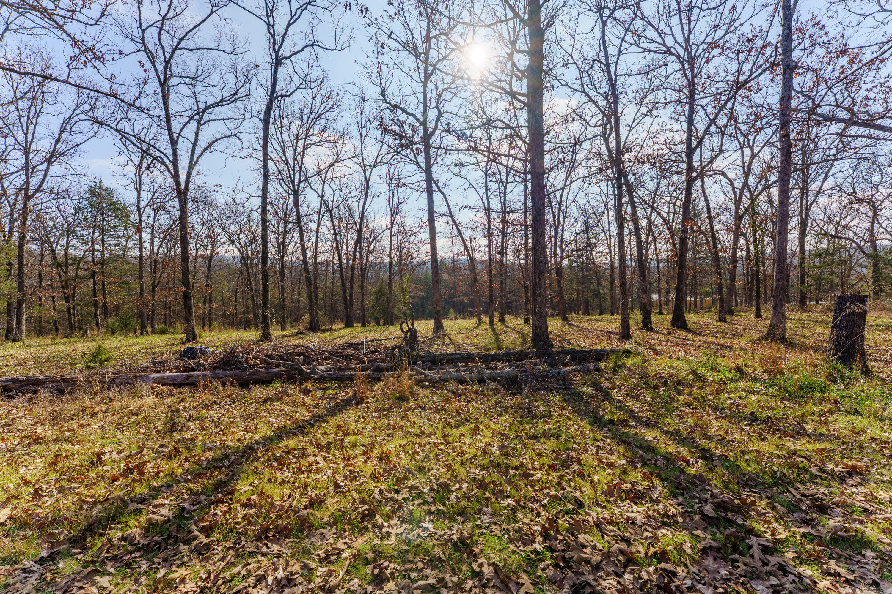 Photo 5 - Land for sale – 000  Century Lane  Lampe, MO