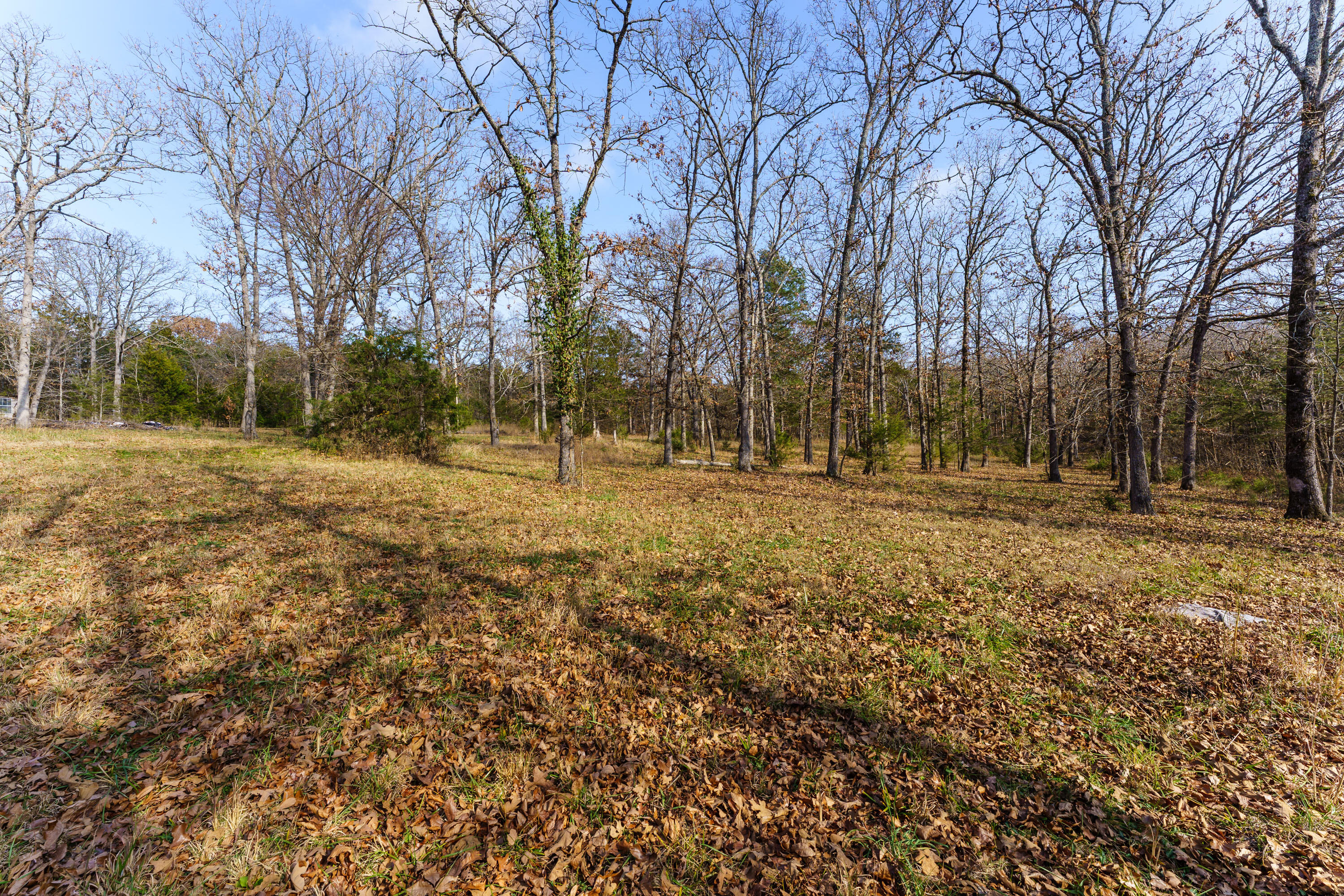 Photo 12 - Land for sale – 000  Century Lane  Lampe, MO