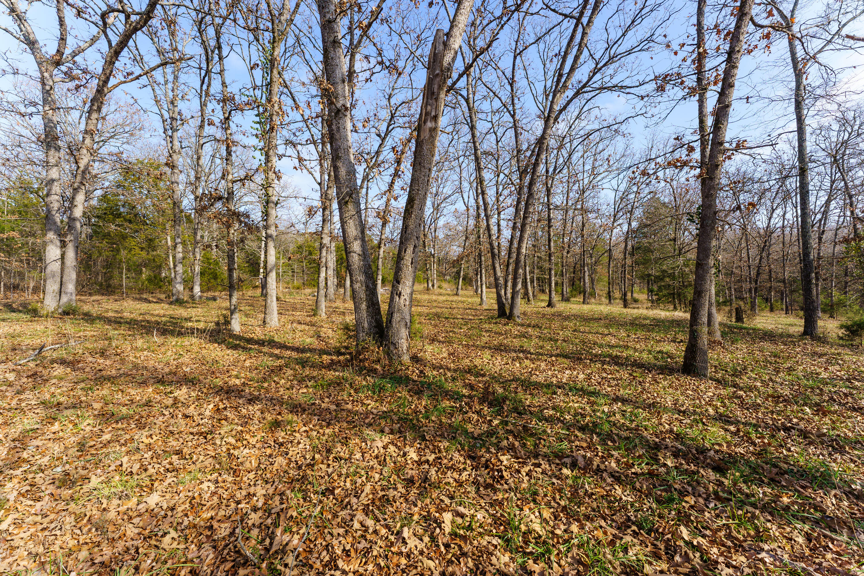 Photo 9 - Land for sale – 000  Century Lane  Lampe, MO