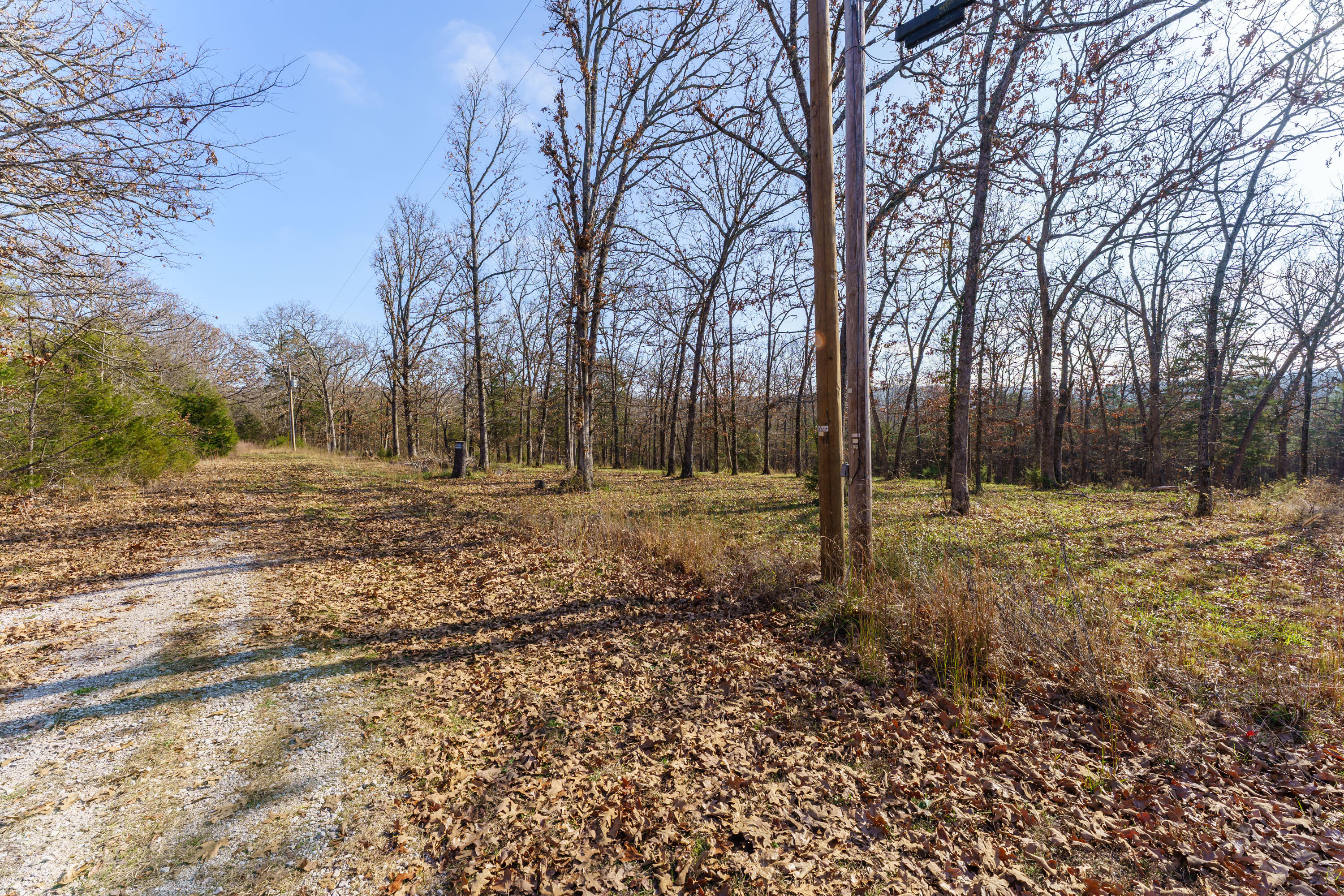 Photo 11 - Land for sale – 000  Century Lane  Lampe, MO