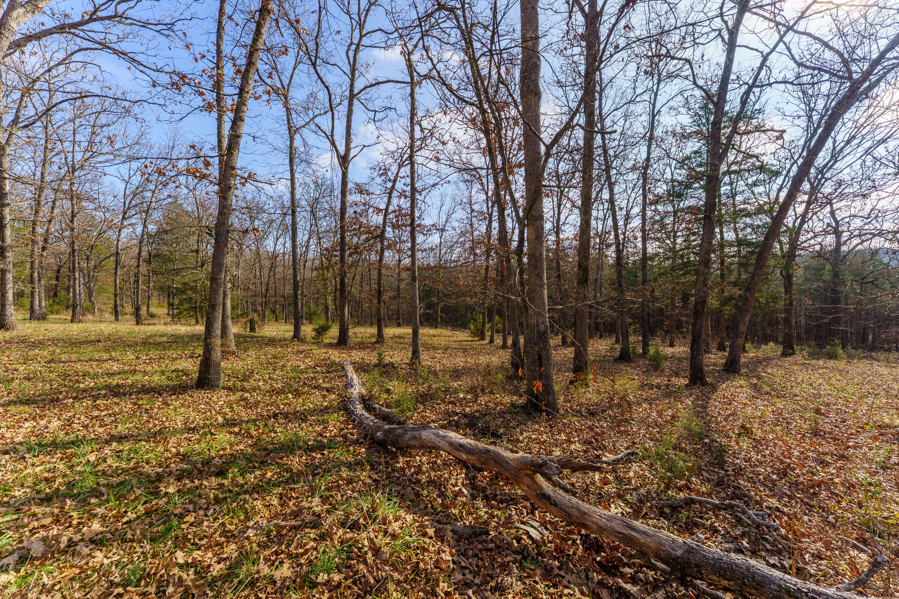 Photo 6 - Land for sale – 000  Century Lane  Lampe, MO