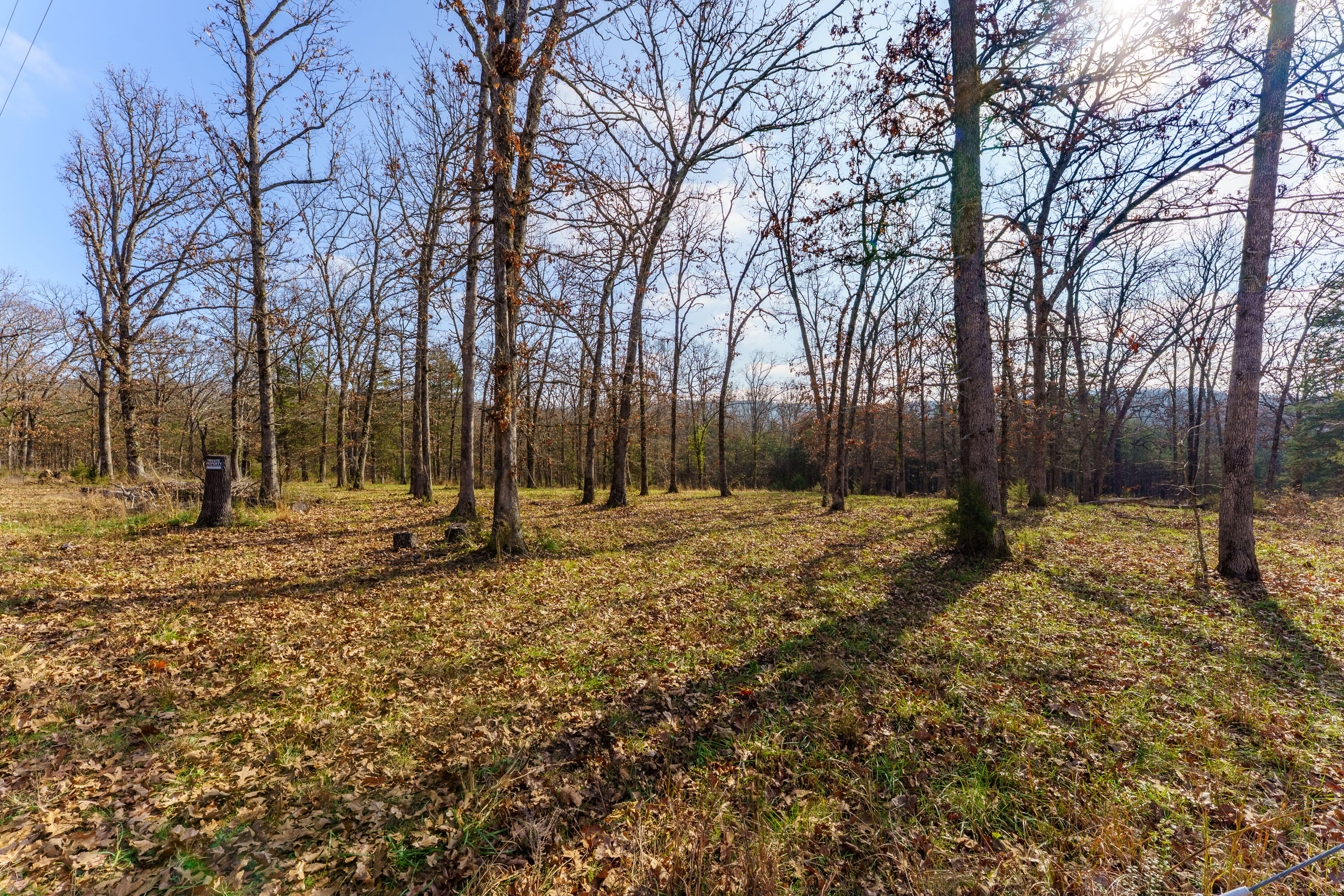 Photo 4 - Land for sale – 000  Century Lane  Lampe, MO