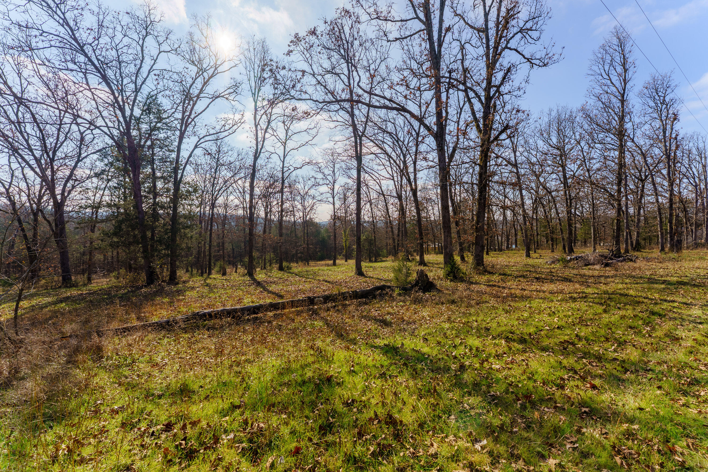 Photo 10 - Land for sale – 000  Century Lane  Lampe, MO