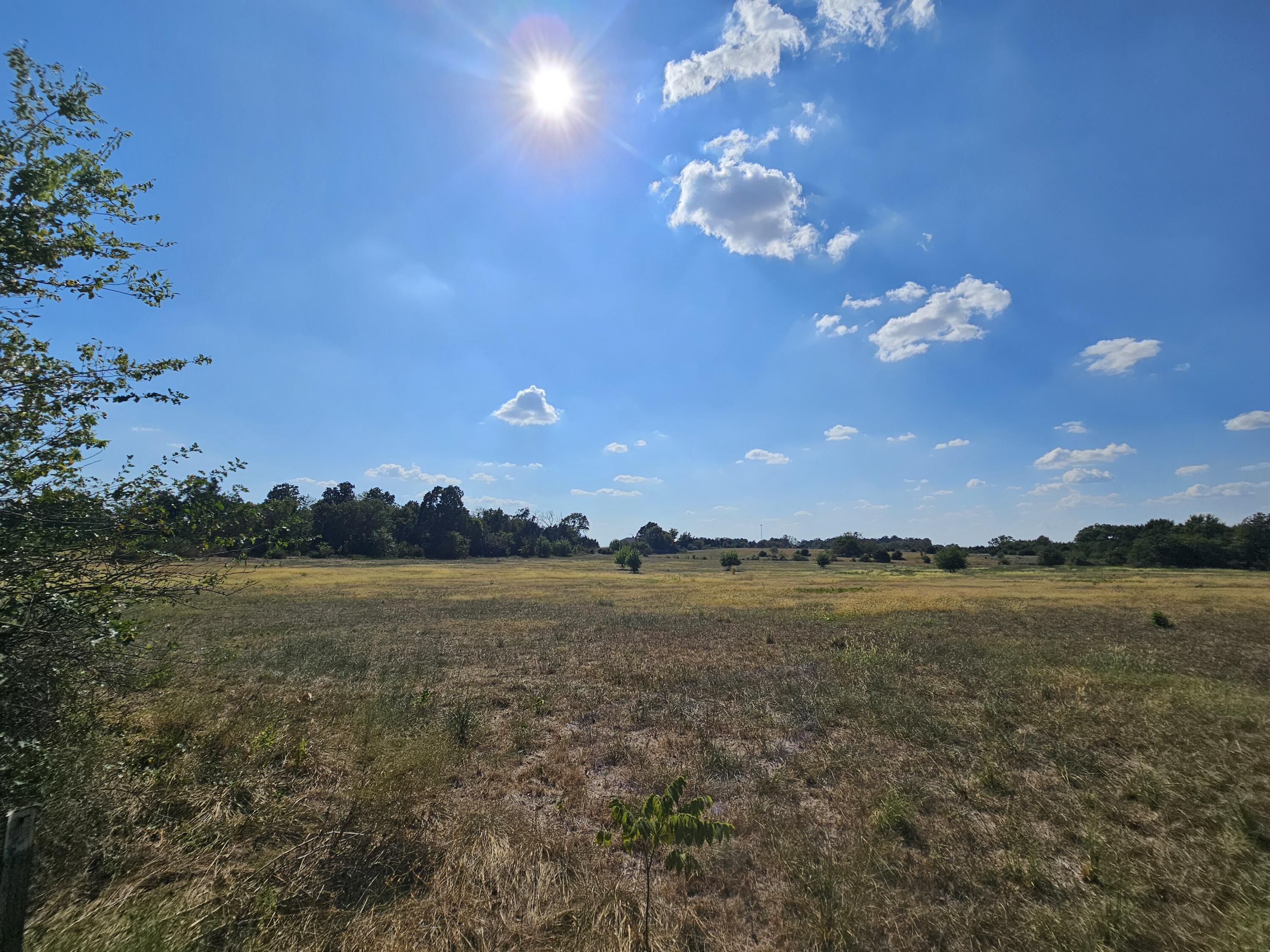 Photo 66 - Farm for sale – 18127 S Highway H   Monett, MO