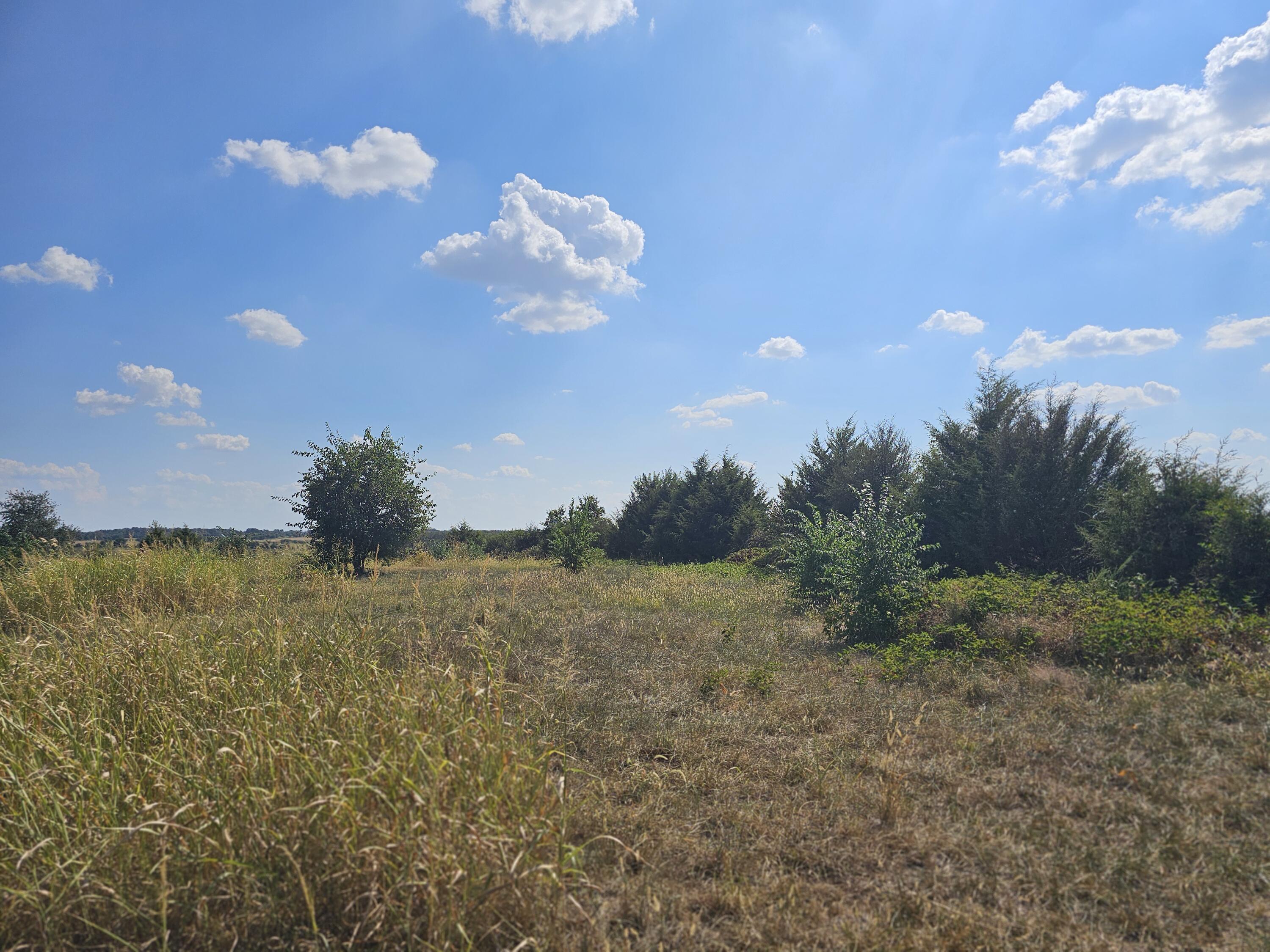 Photo 56 - Farm for sale – 18127 S Highway H   Monett, MO