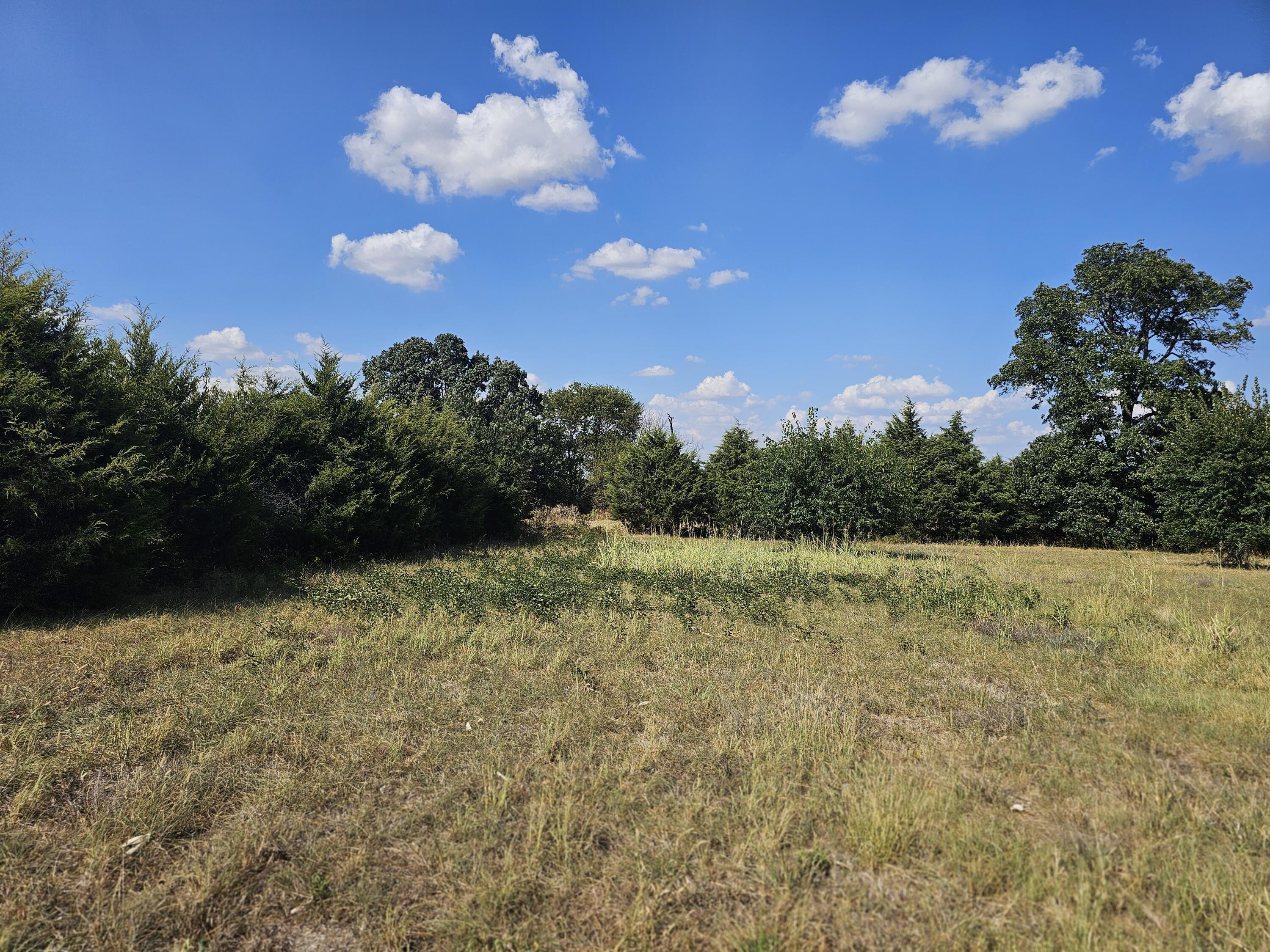 Photo 53 - Farm for sale – 18127 S Highway H   Monett, MO