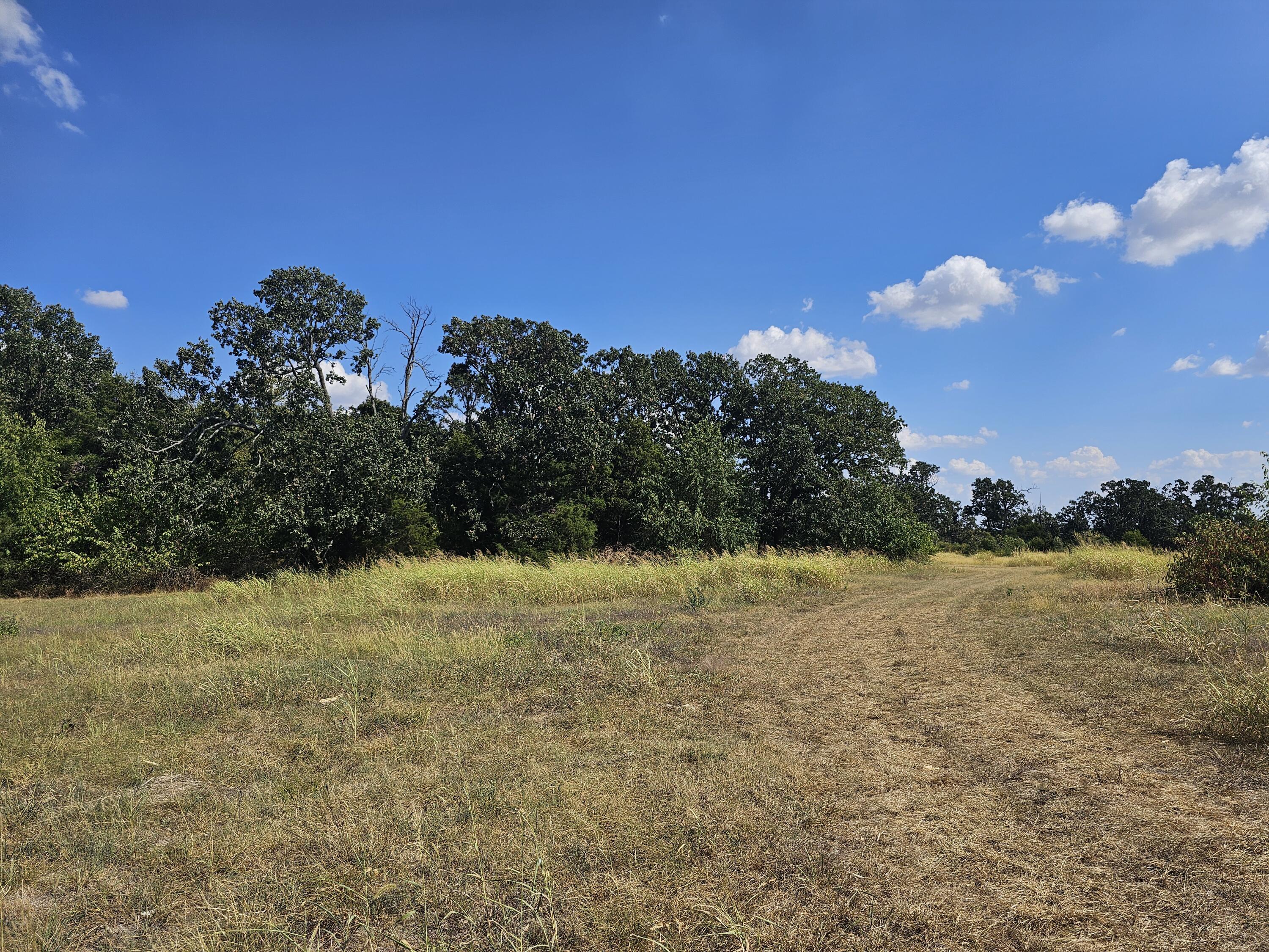 Photo 55 - Farm for sale – 18127 S Highway H   Monett, MO