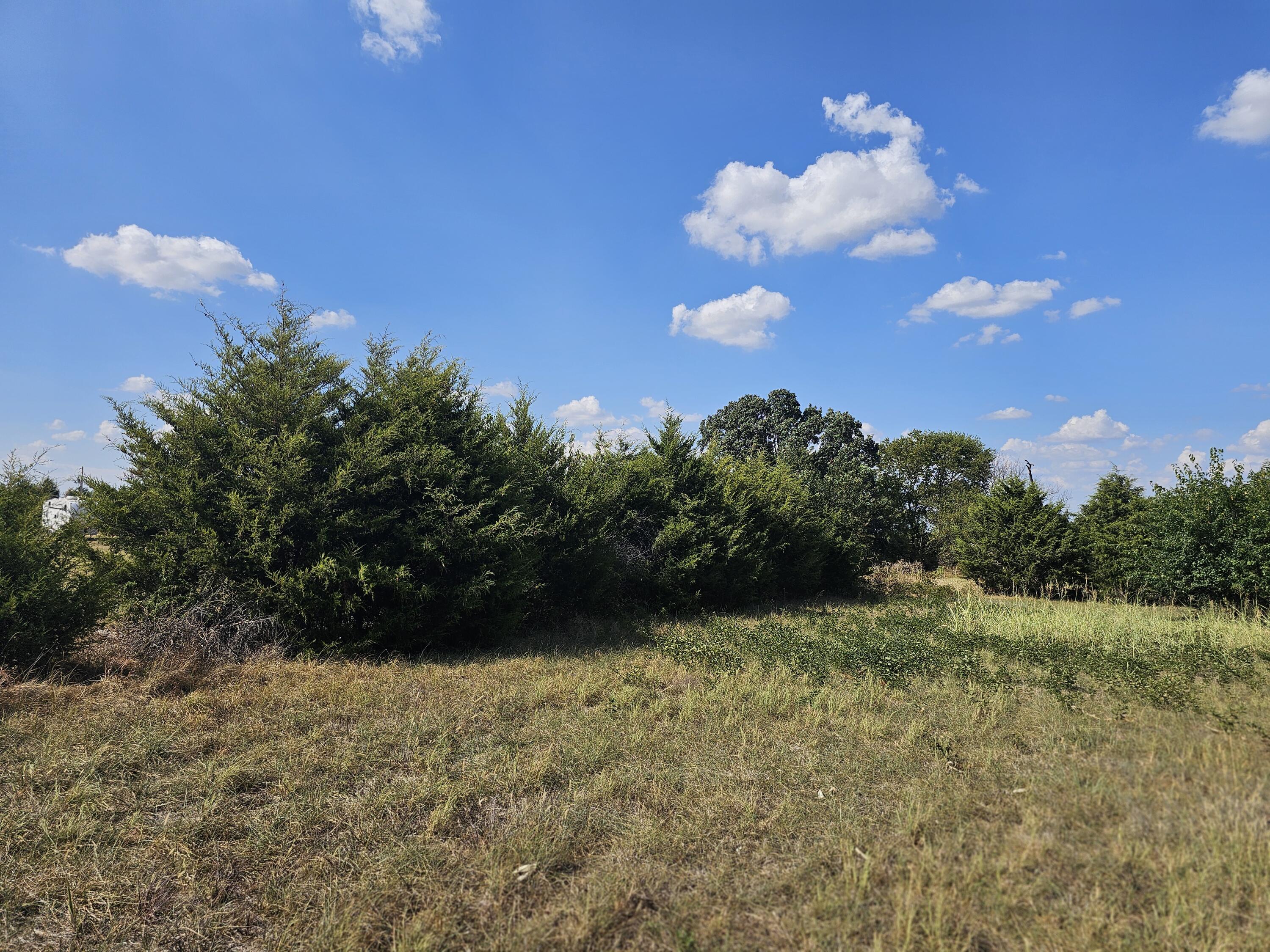 Photo 54 - Farm for sale – 18127 S Highway H   Monett, MO