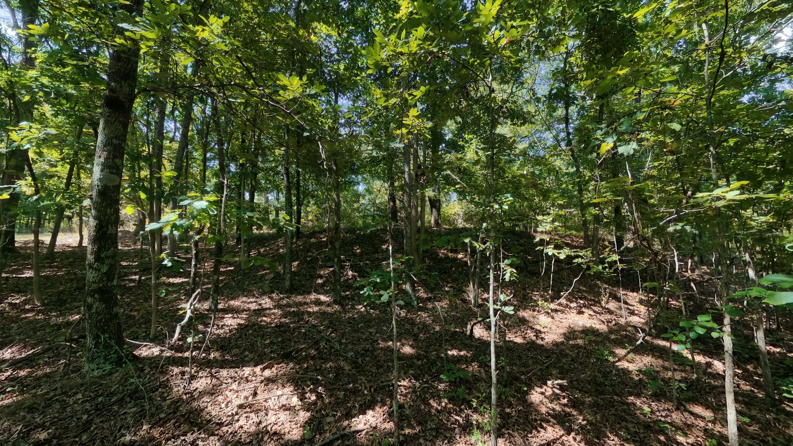 Photo 43 - Residential for sale – 5155  County Road 3380   Willow Springs, MO